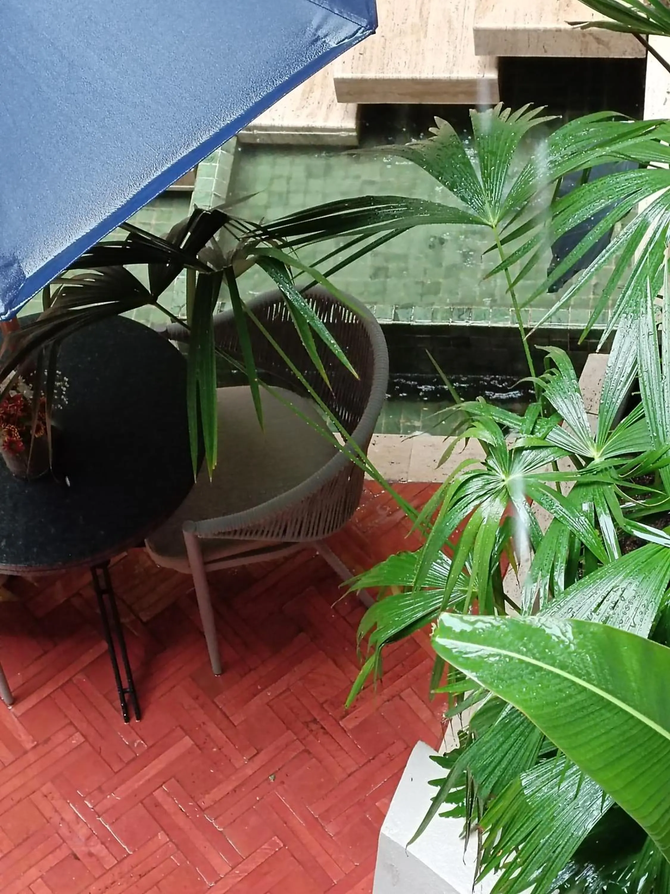 Garden in Hotel Casona del Porvenir