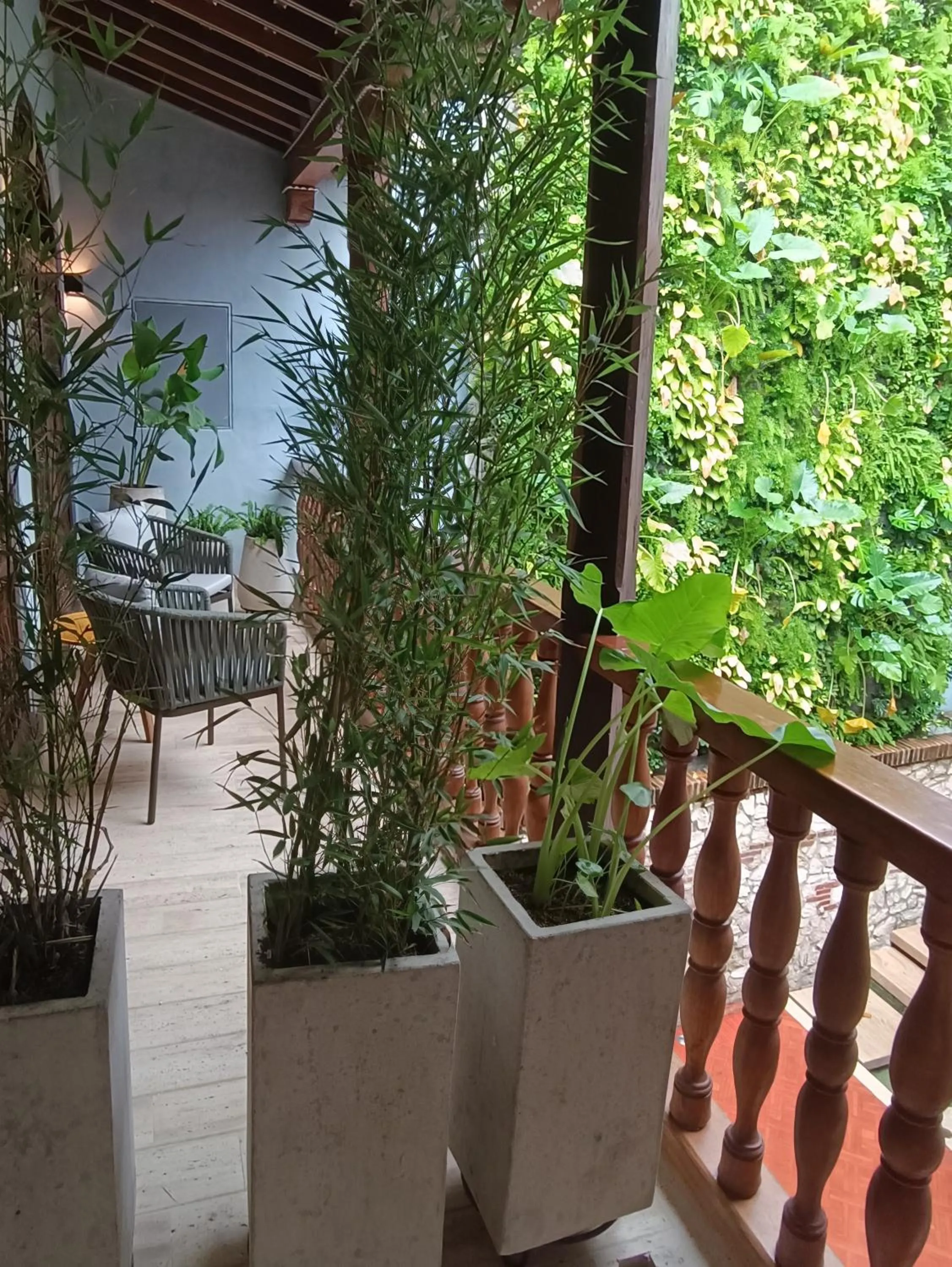 View (from property/room) in Hotel Casona del Porvenir