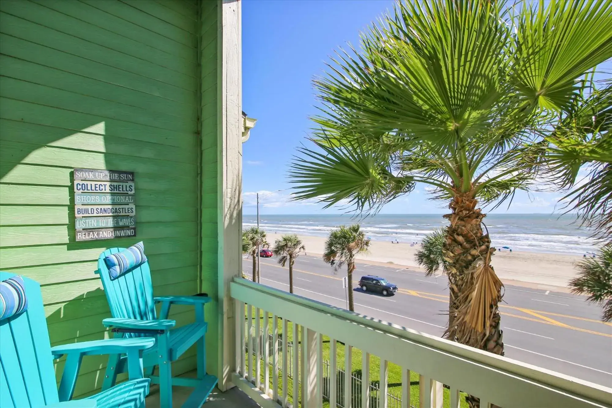 Dawn 236-Turtle Romance Dawn 236-Turtle Romance