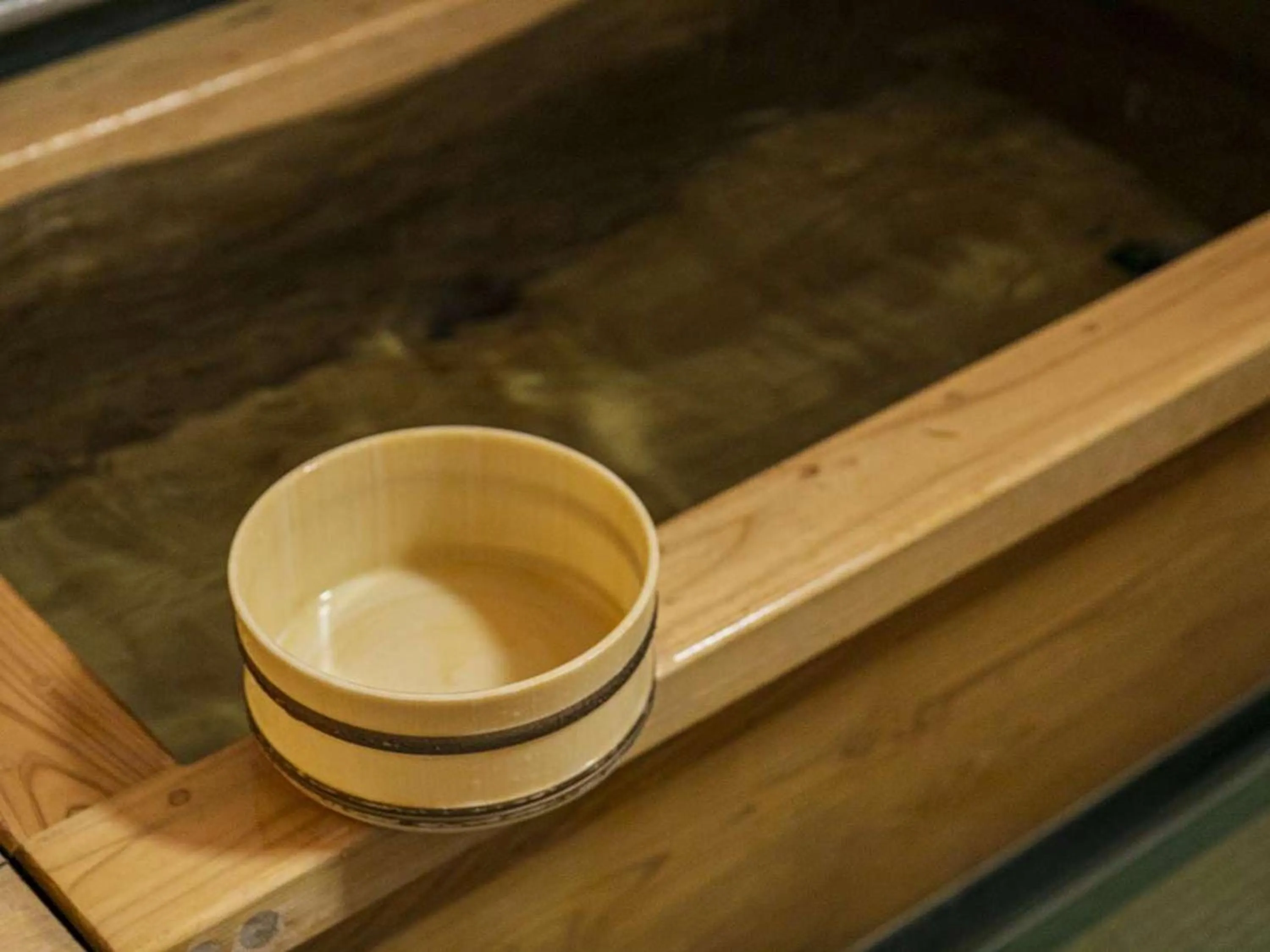 Hot Spring Bath in Hatsuneso Shinkan