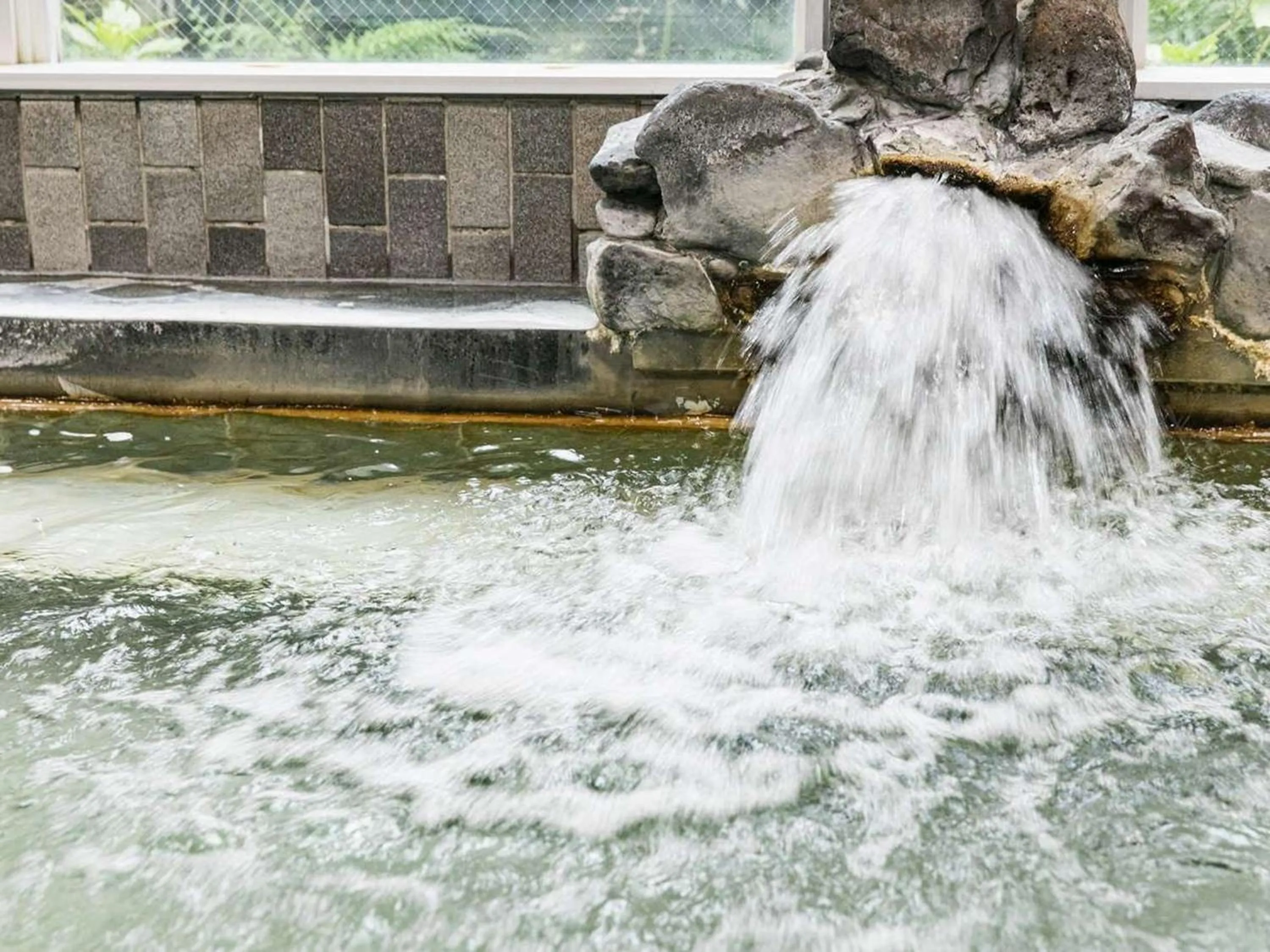 Hot Spring Bath in Hatsuneso Shinkan