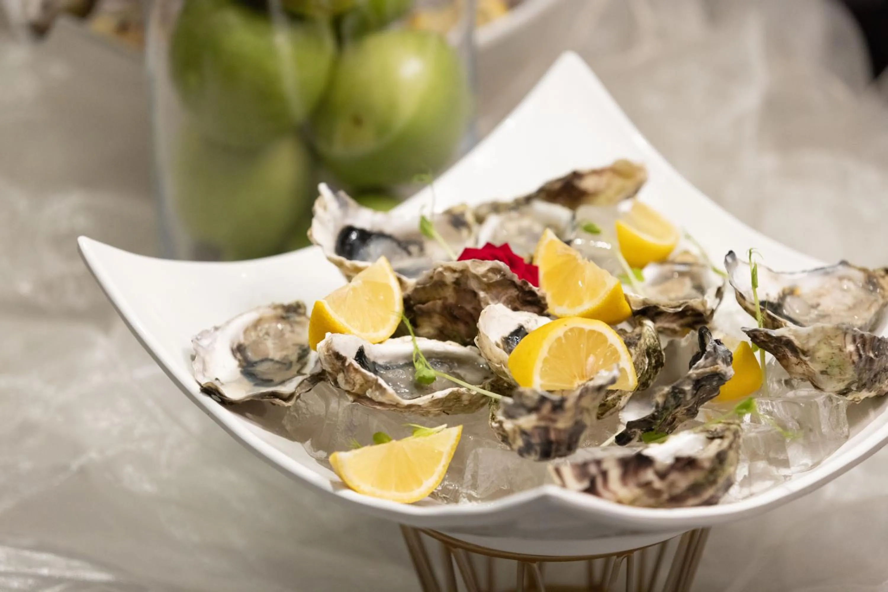 Food and drinks in Hotel Sporting