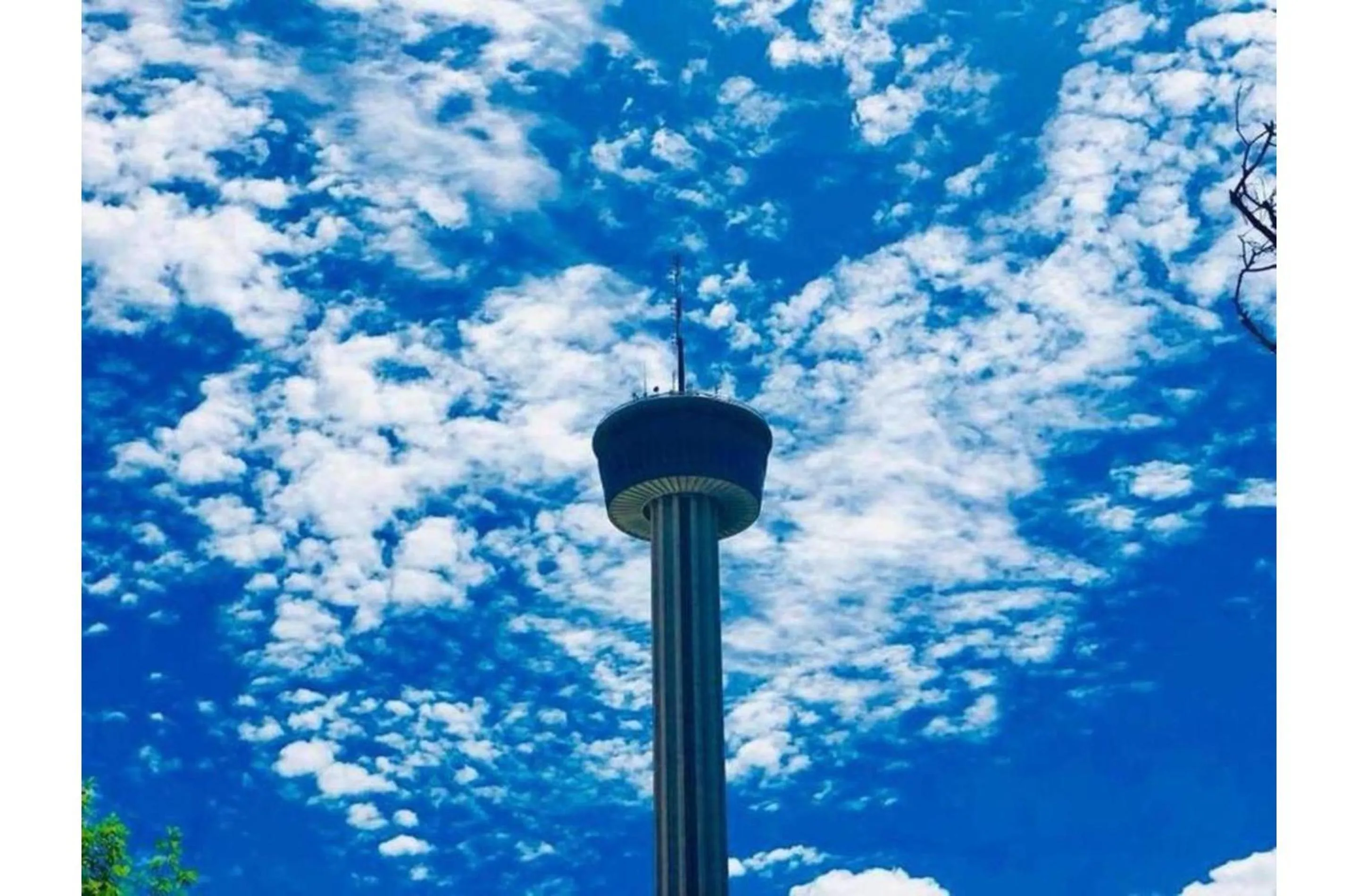 Stunning Cozy Downtown Guesthouse