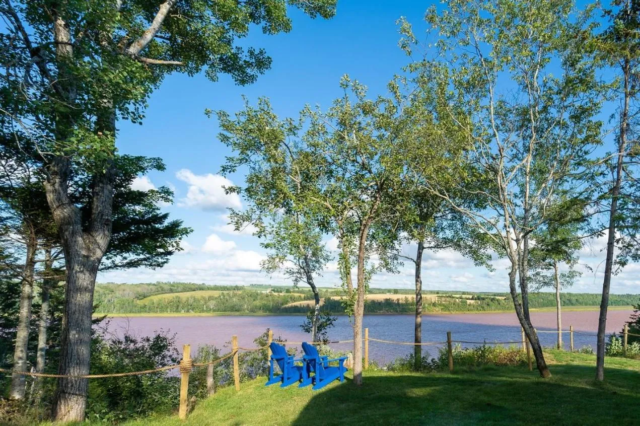 Spring in Gravity Luxury Domes