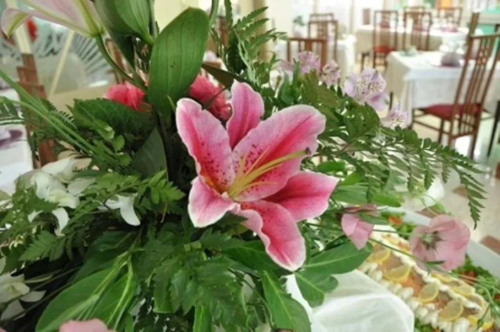 Other in Hotel Beppe