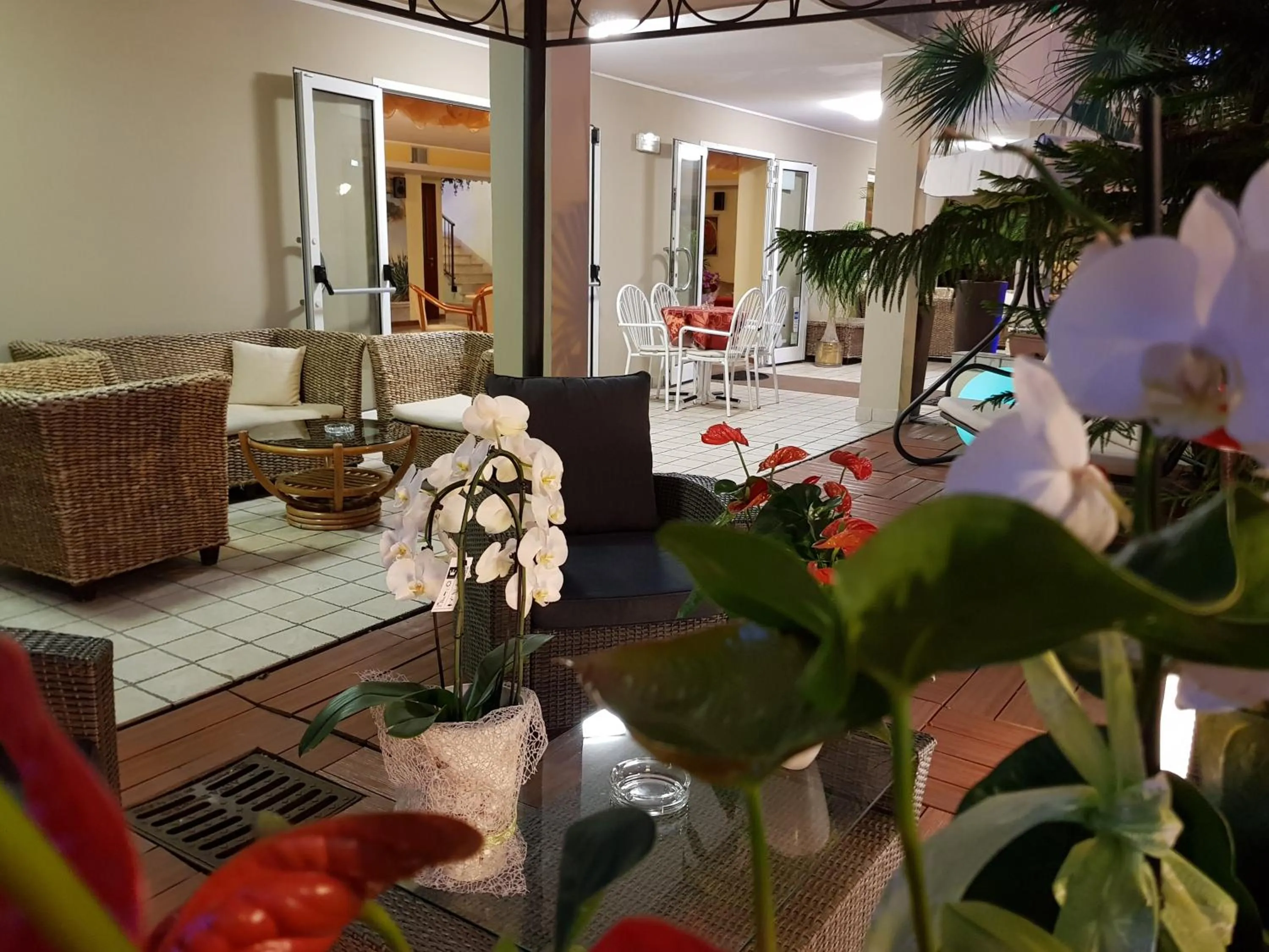 Garden in Hotel Beppe