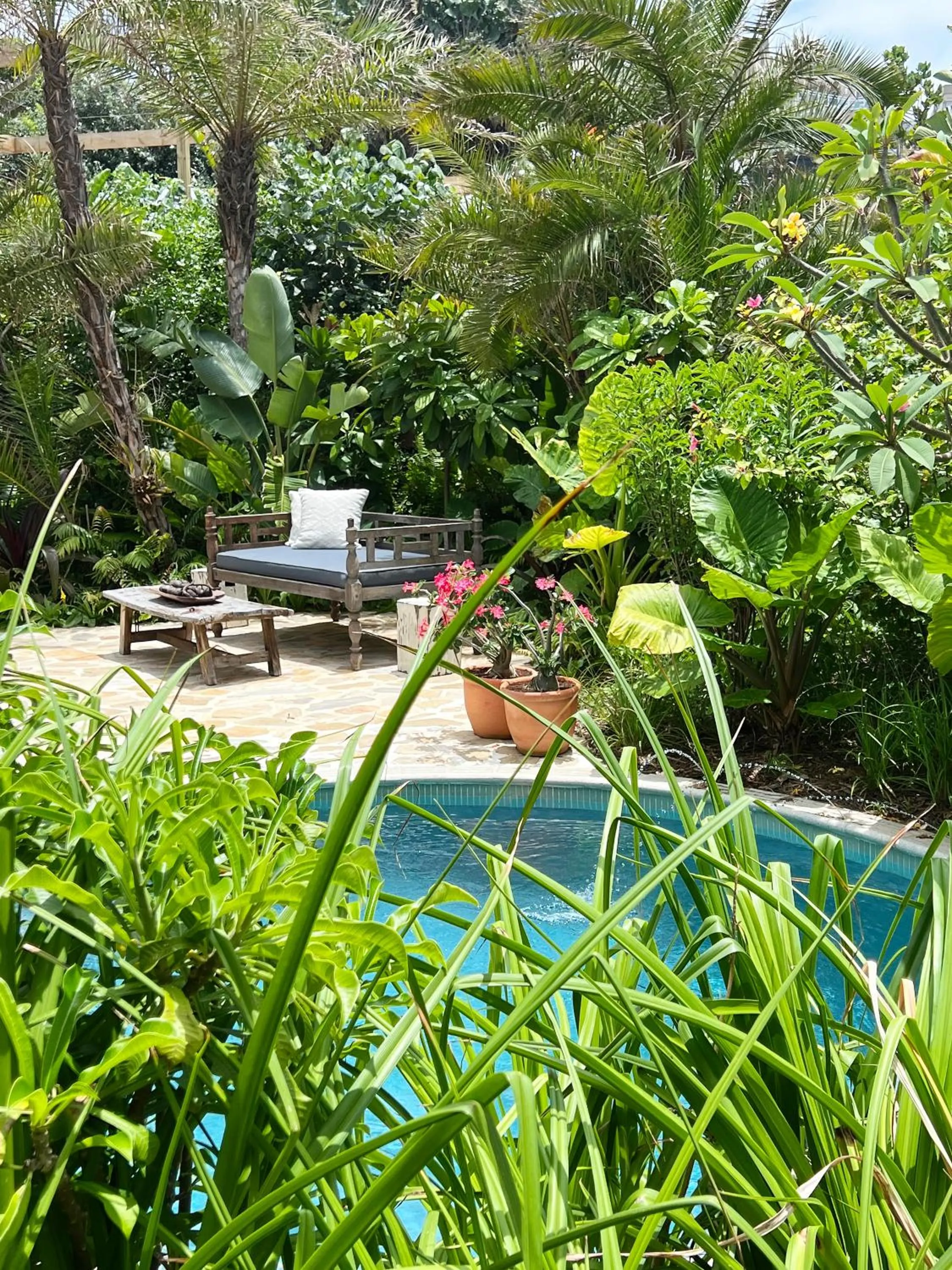 Natural landscape in Sala Beach House