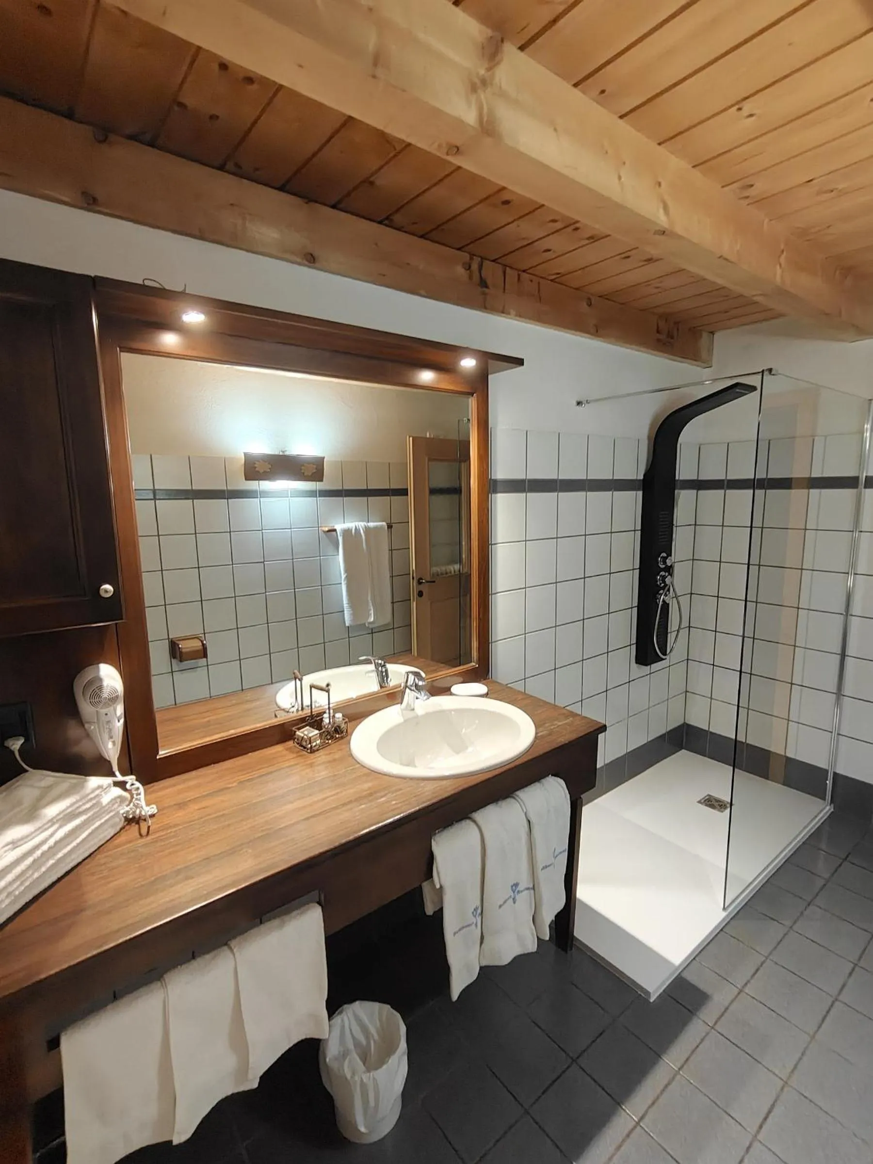 Shower in Residence Ruetoreif