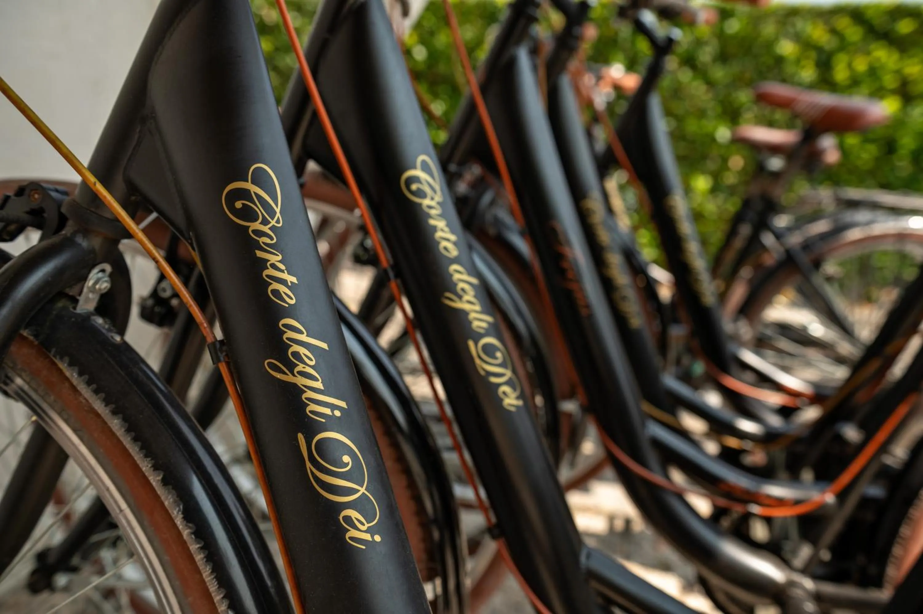 Villa Corte Degli Dei