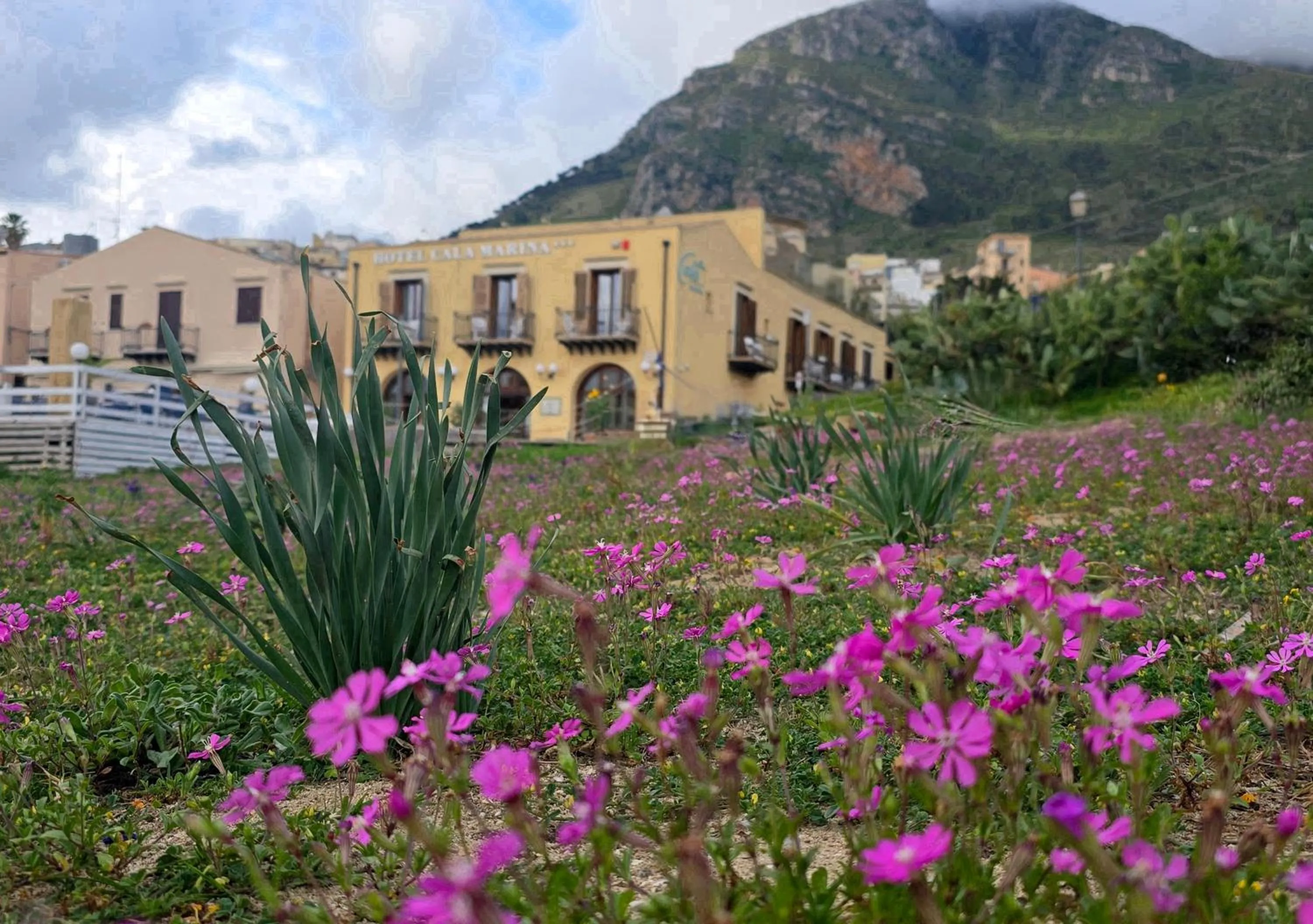 Facade/entrance in Hotel Cala Marina