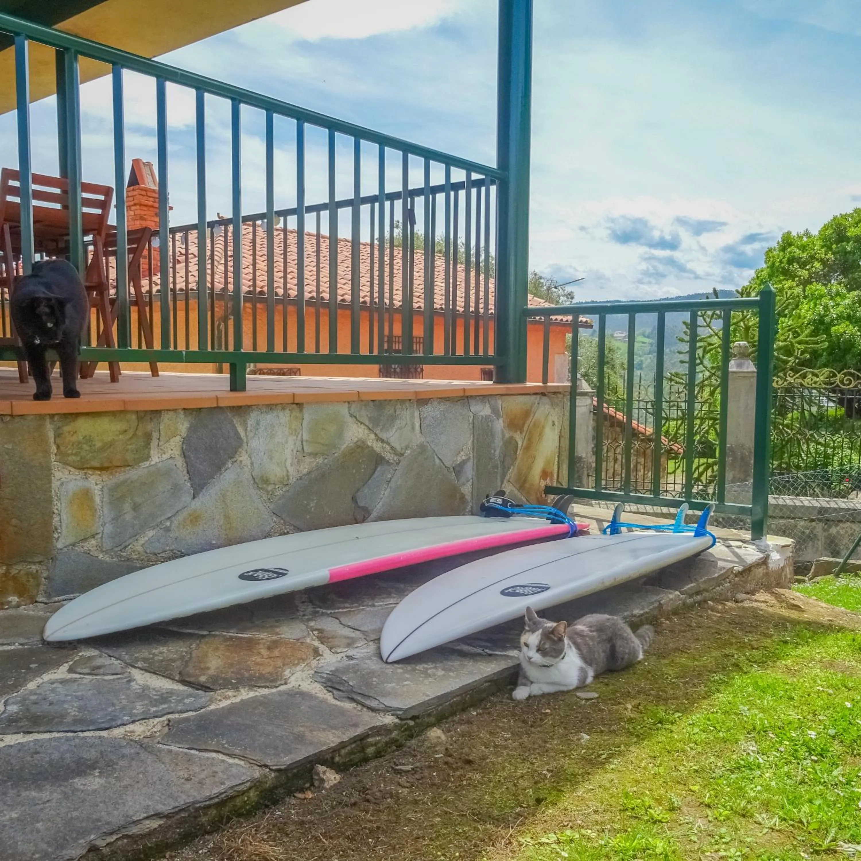 Pets in El Gato Gordo - bike & surf house