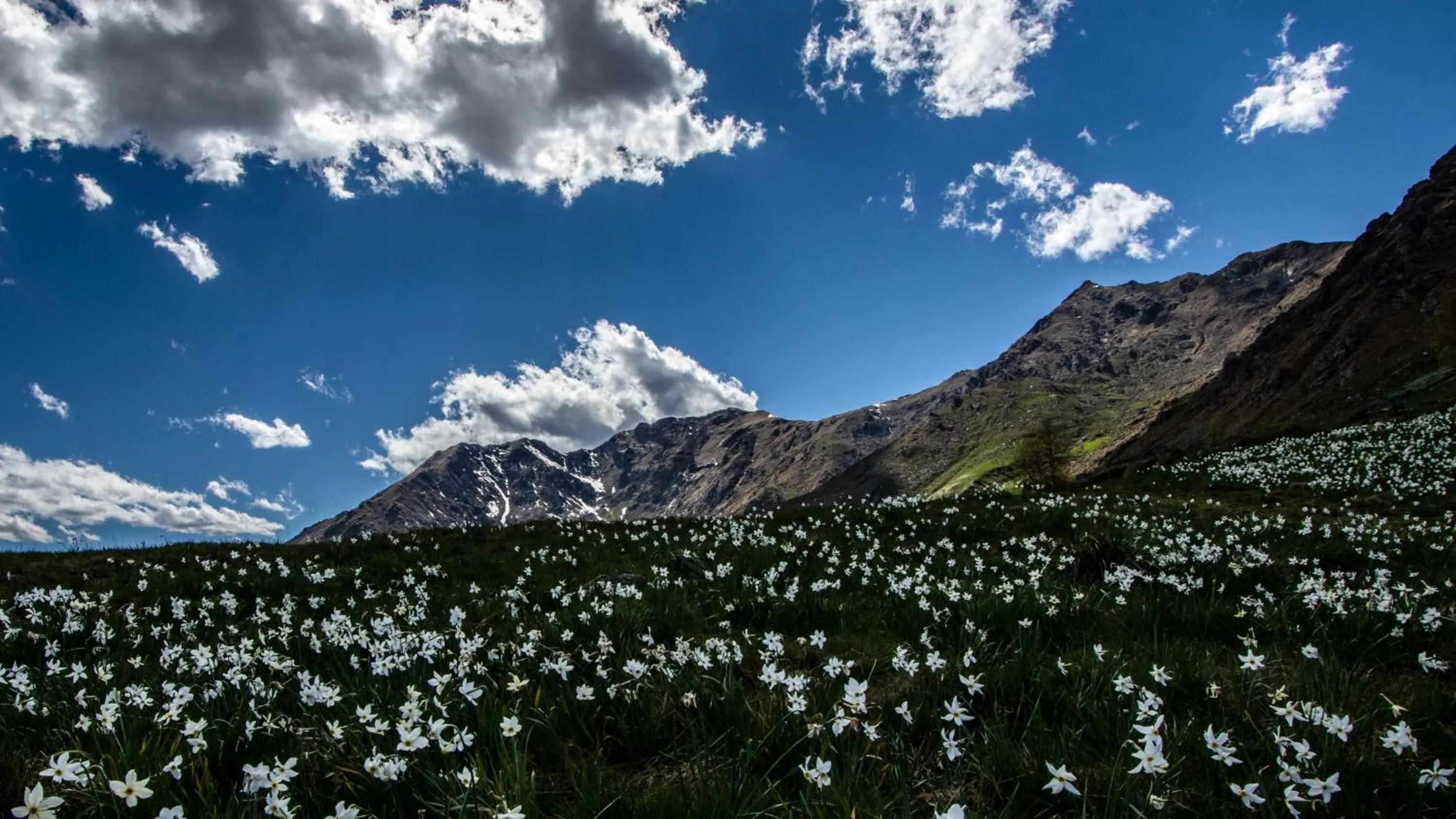 Nearby landmark in La Villa - Sure Hotel Collection by Best Western