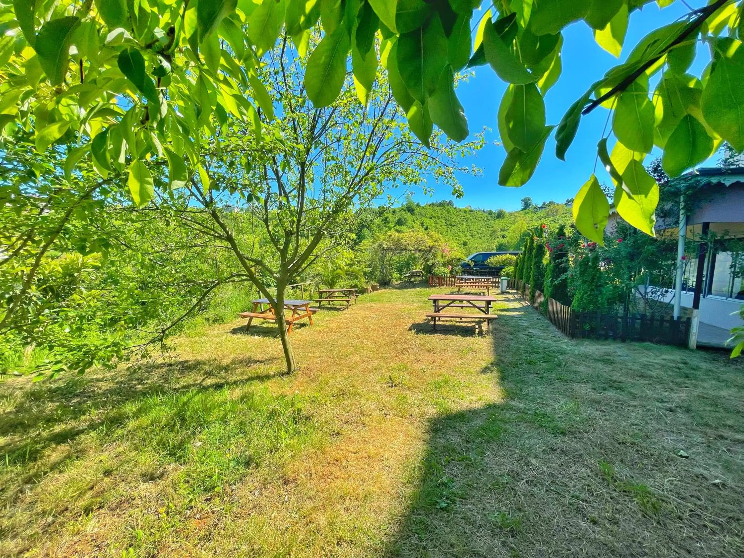 Garden in LUSTRA GARDEN SUİTE