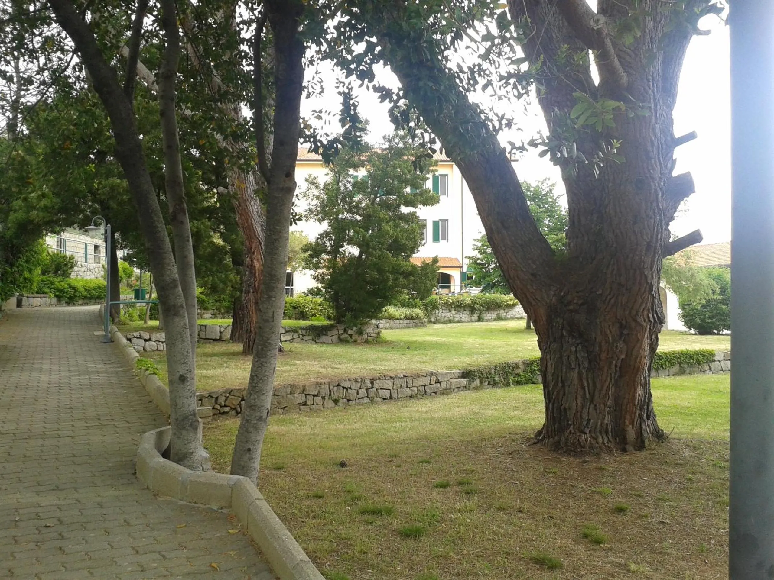 Garden view in Hotel Villa Selene