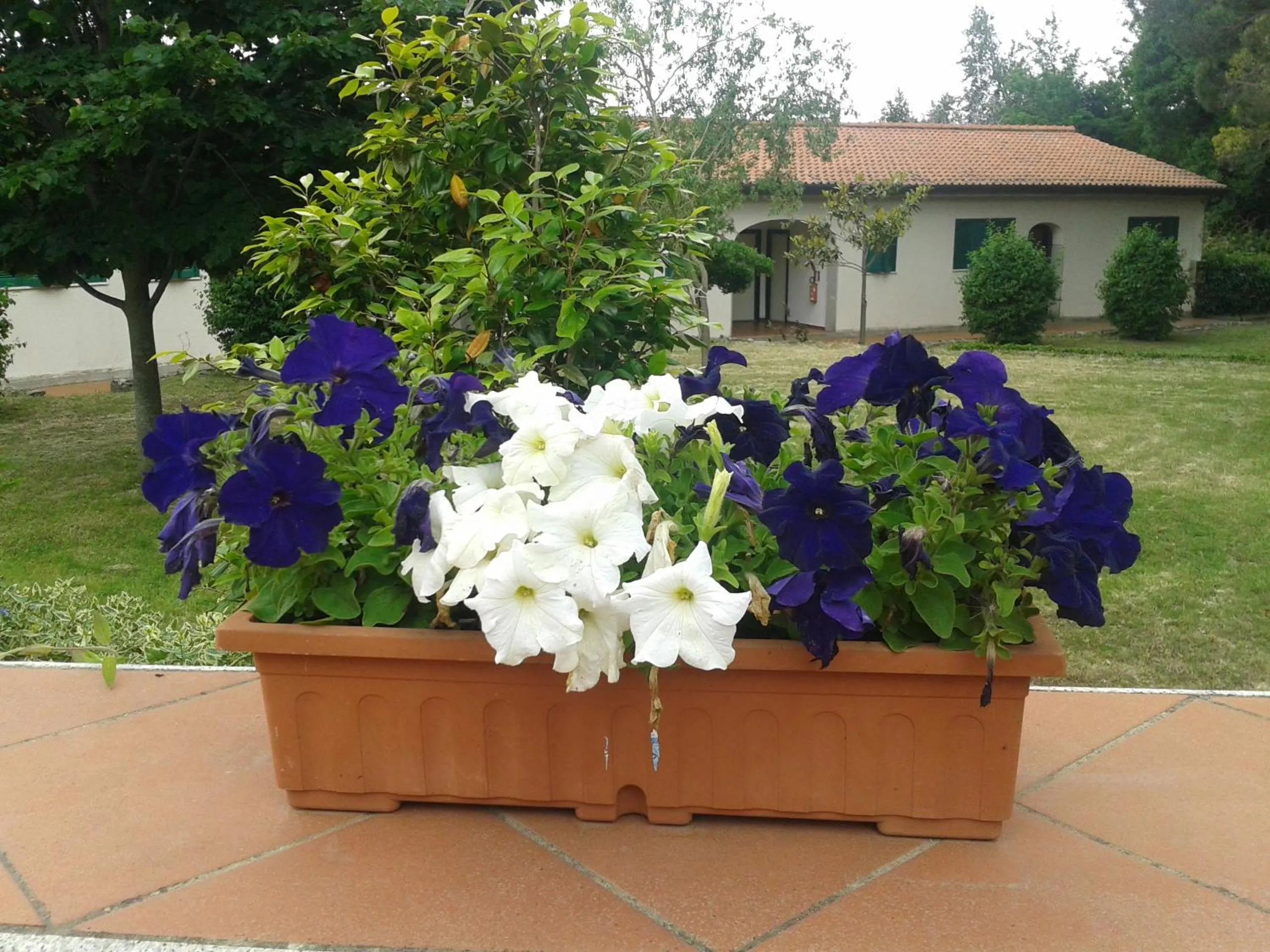 Garden in Hotel Villa Selene