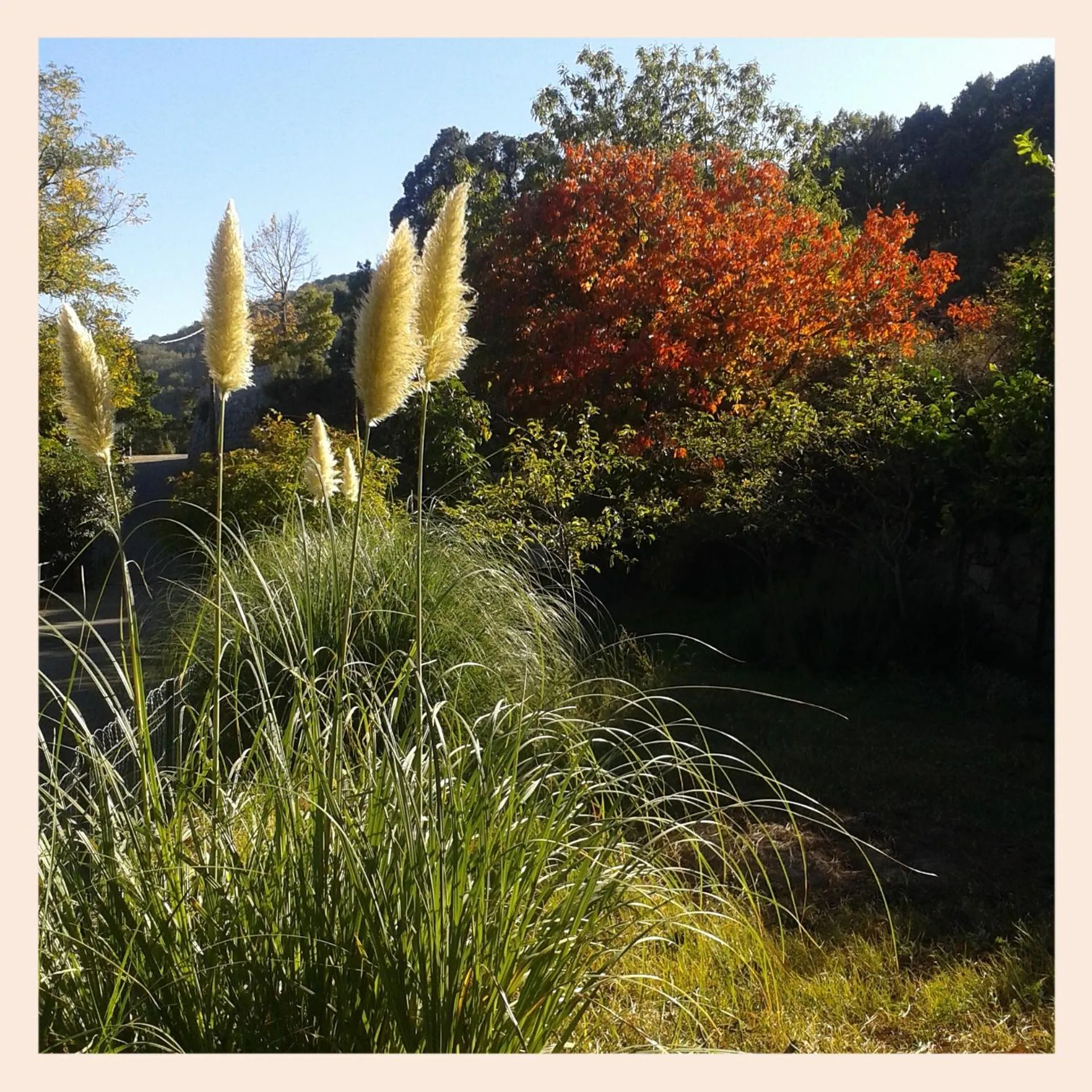 Natural landscape in Hotel Villa Selene