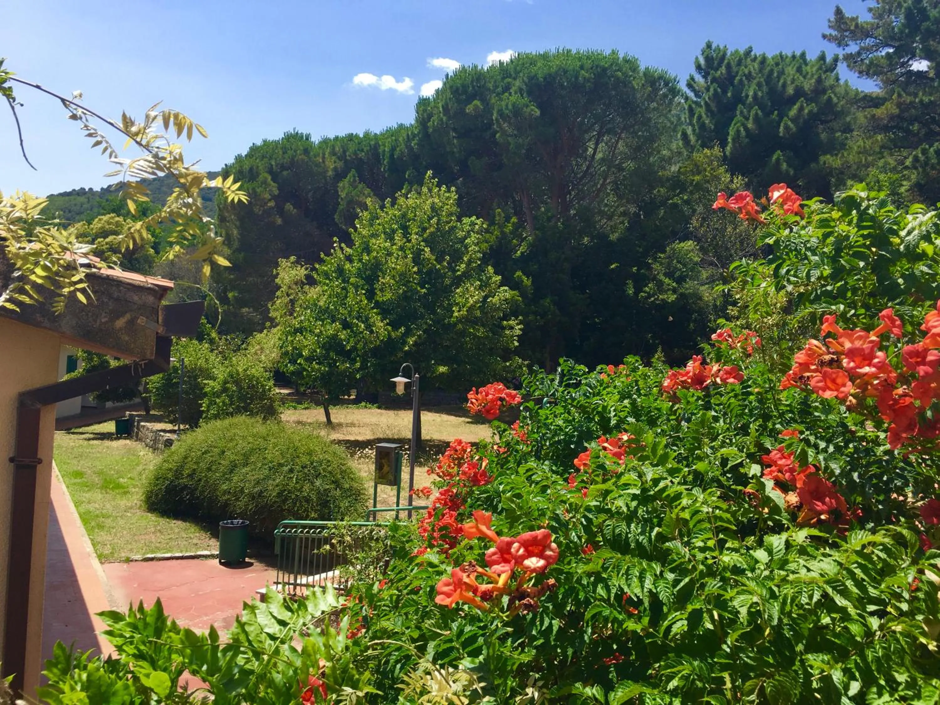 Garden in Hotel Villa Selene