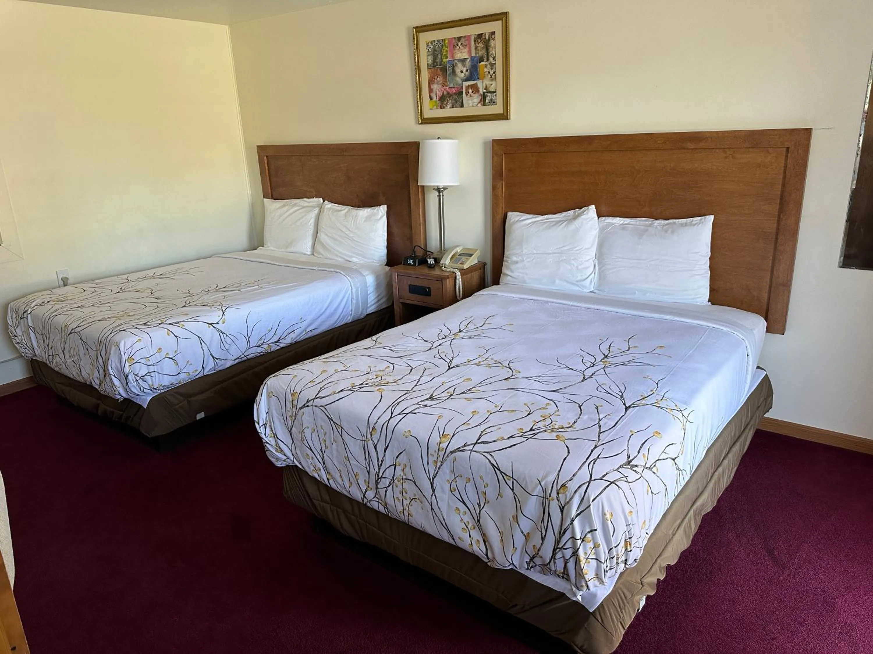 Photo of the whole room, Bed in VISTA VILLA MOTEL