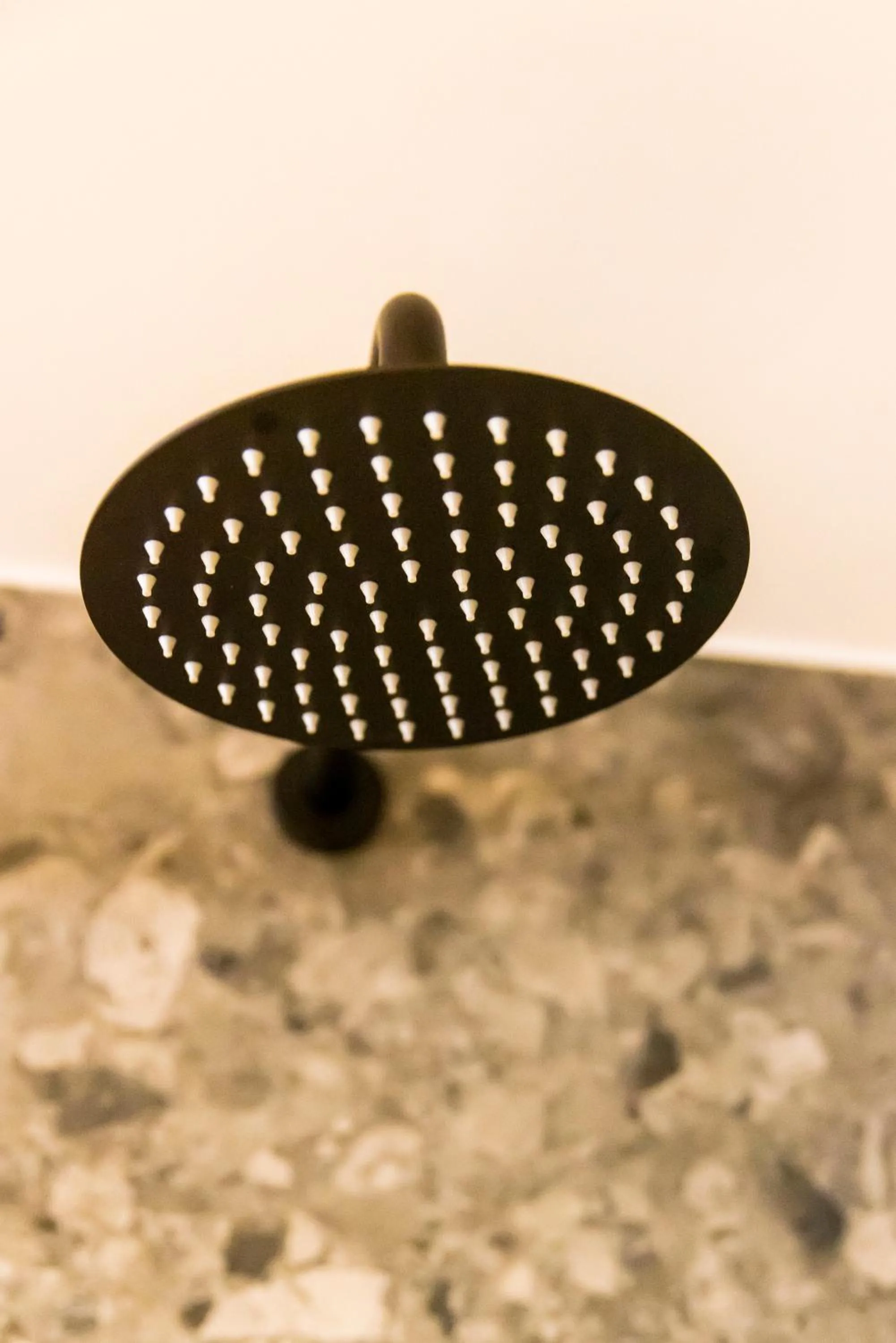 Centrally Elegant Suite by Acropolis