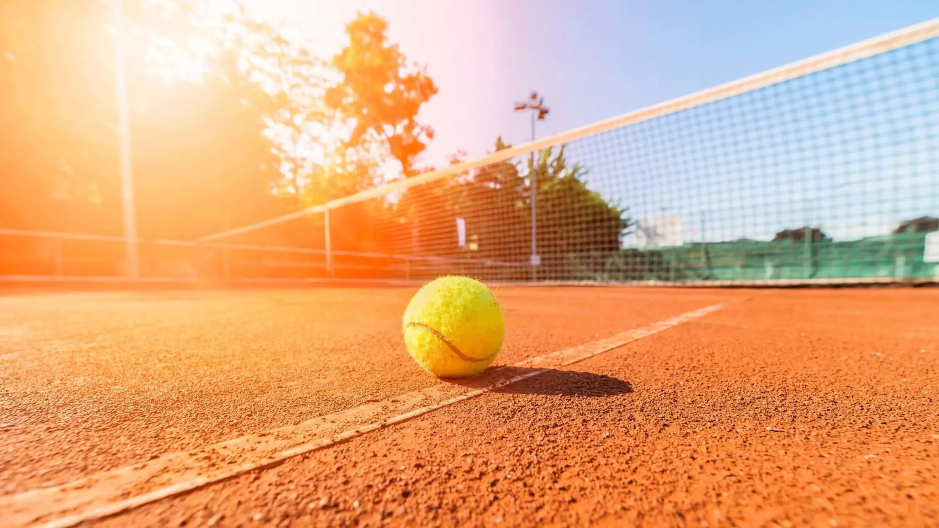 Tennis court, Tennis/Squash in Hotel Alexander