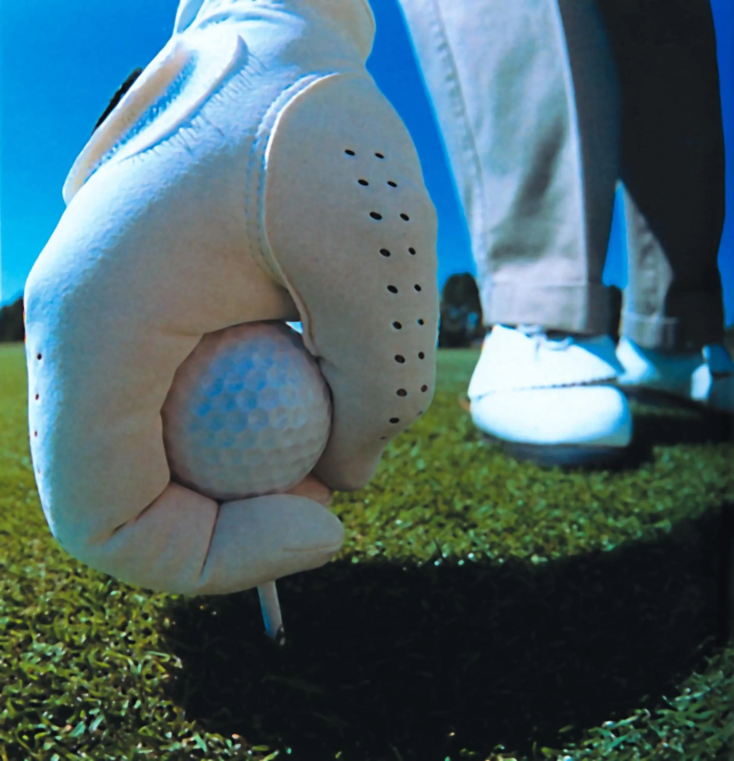 Activities in Hotel Alexander