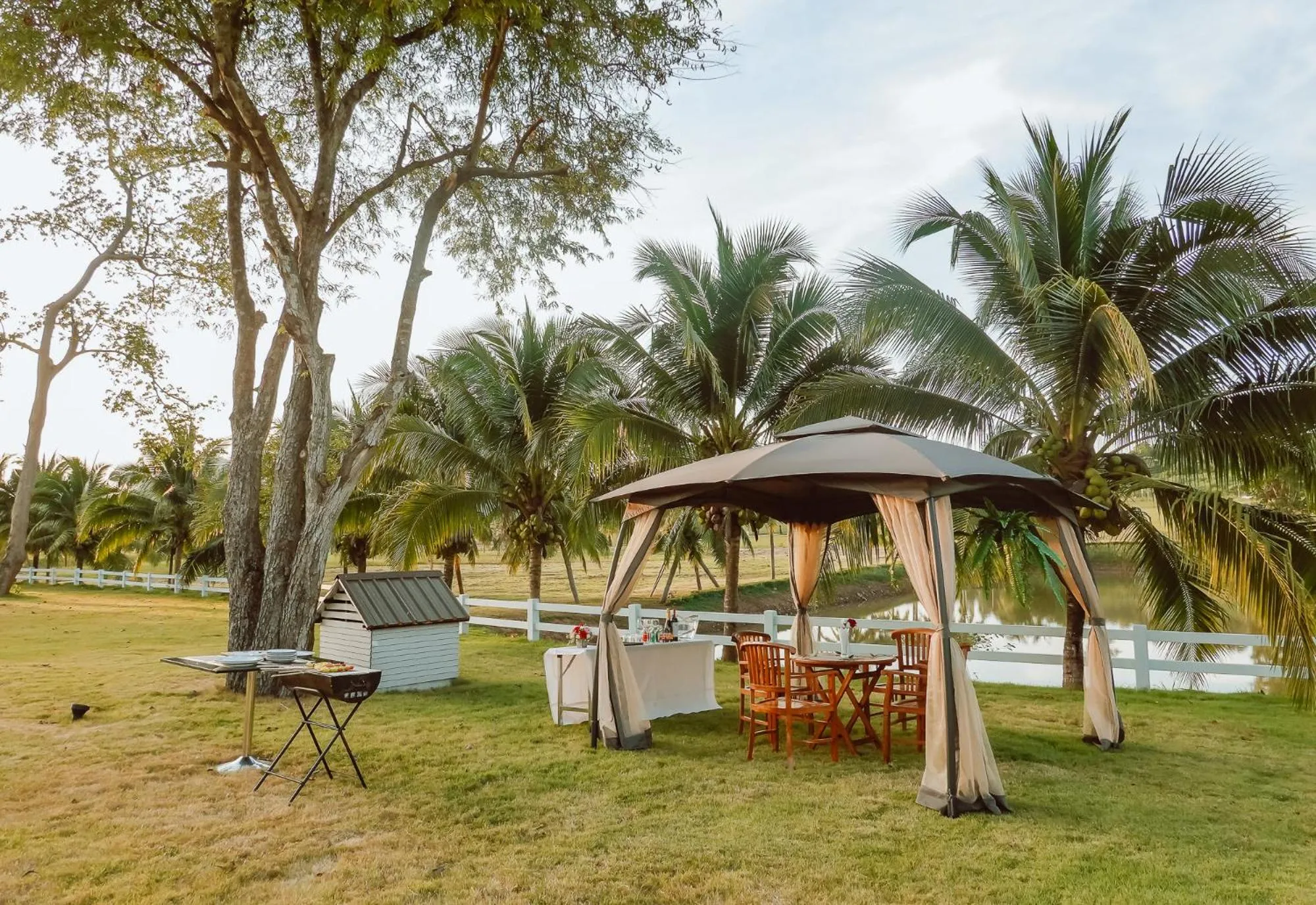 Natural landscape in Grand Lord Hotel & Residence - Pattaya