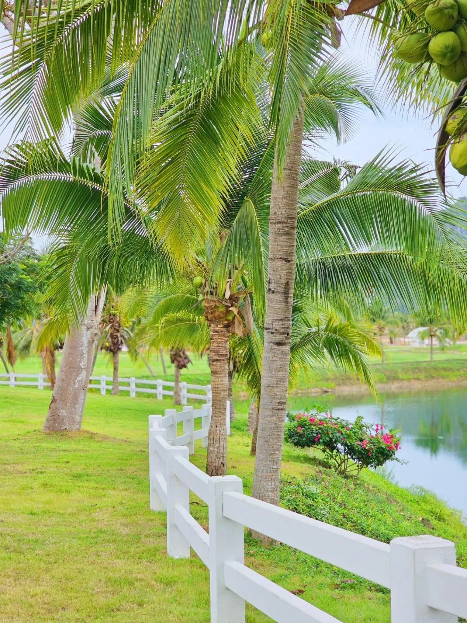 View (from property/room) in Grand Lord Hotel & Residence - Pattaya