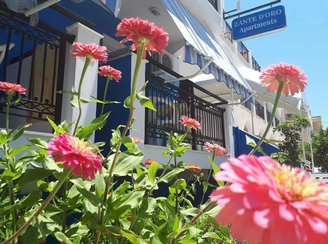 Hotel Asimina Laganas