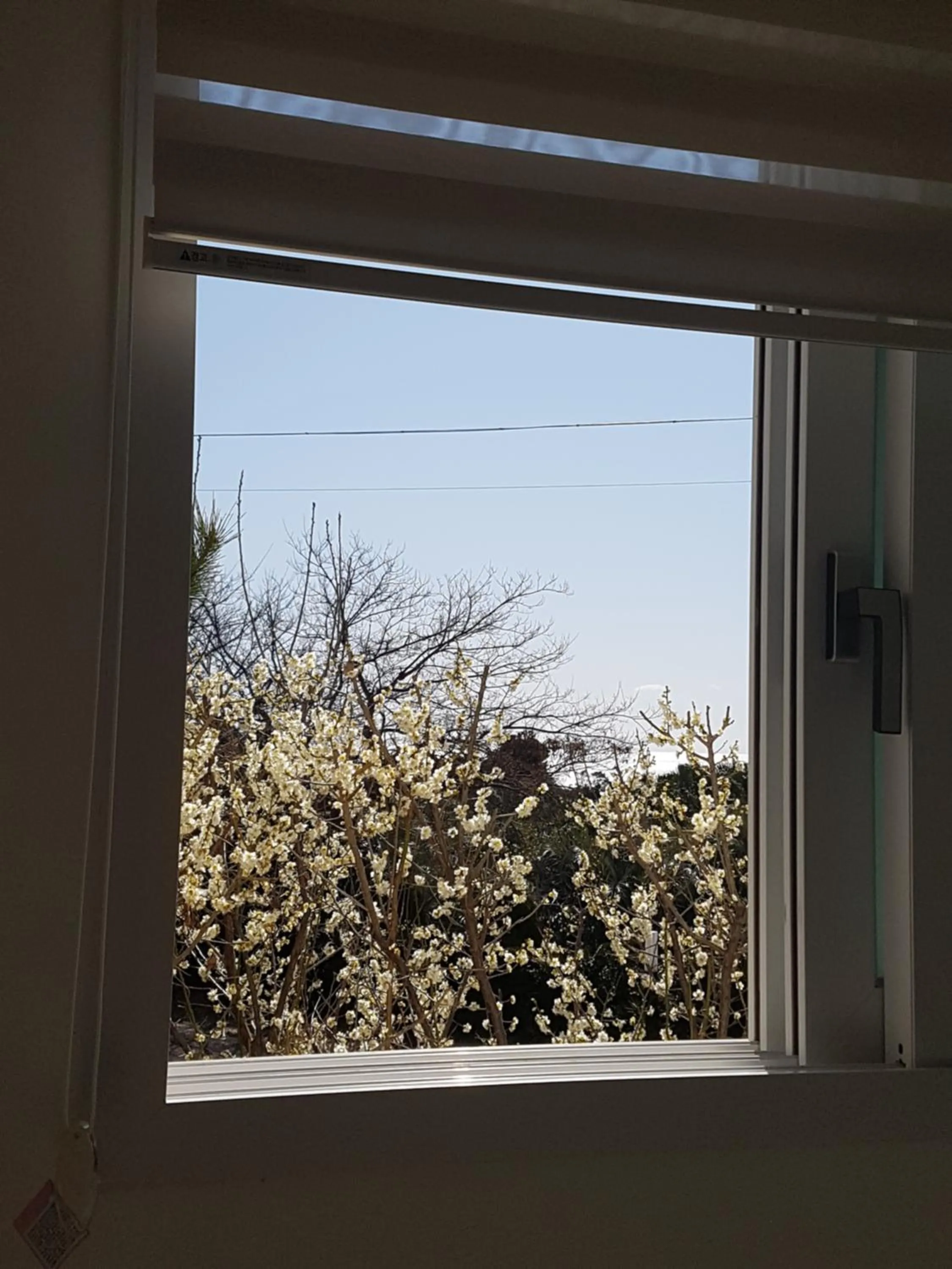 Jeju Bada Wi Olle Pension