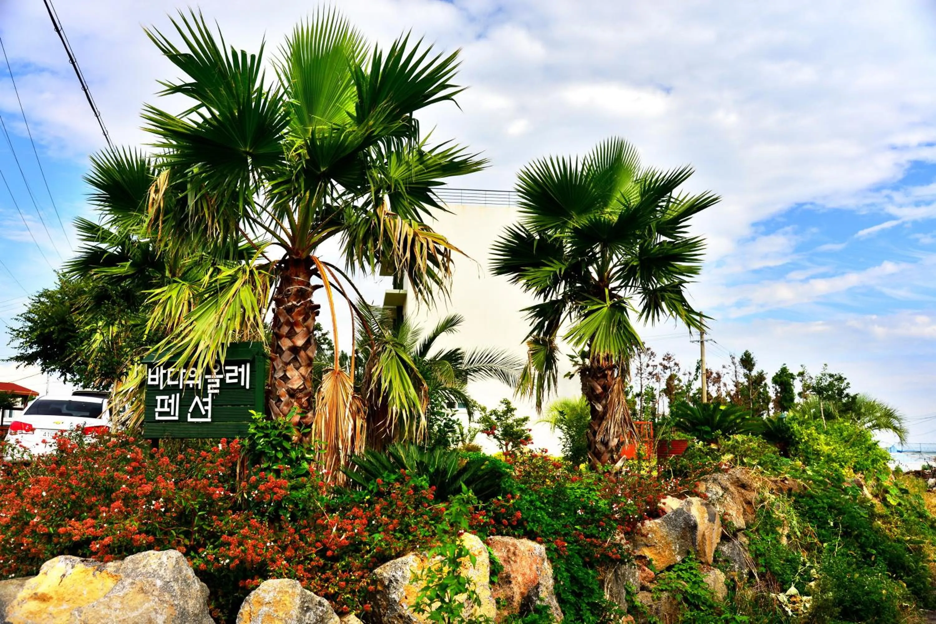 Day in Jeju Bada Wi Olle Pension