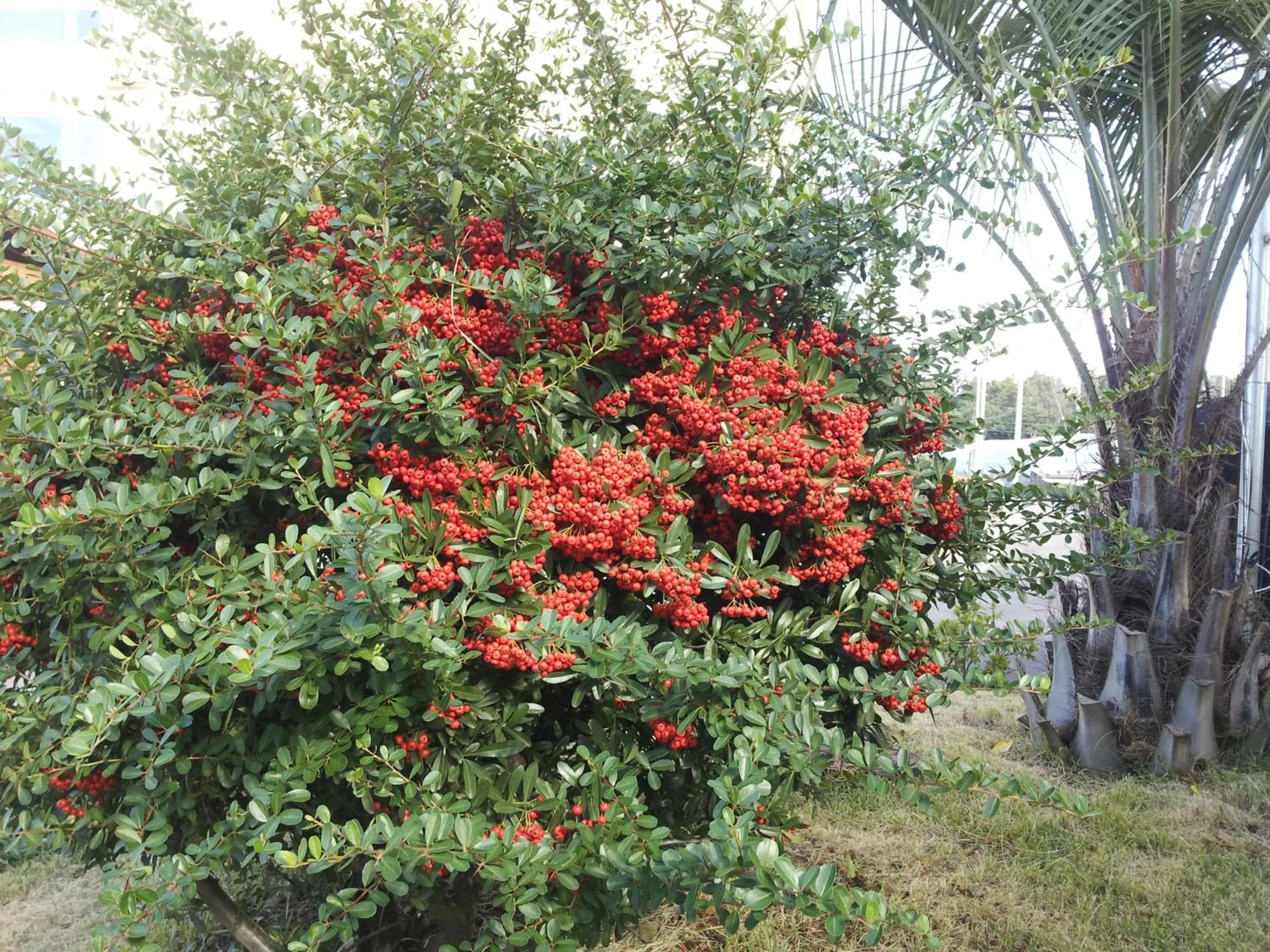 Day in Jeju Bada Wi Olle Pension