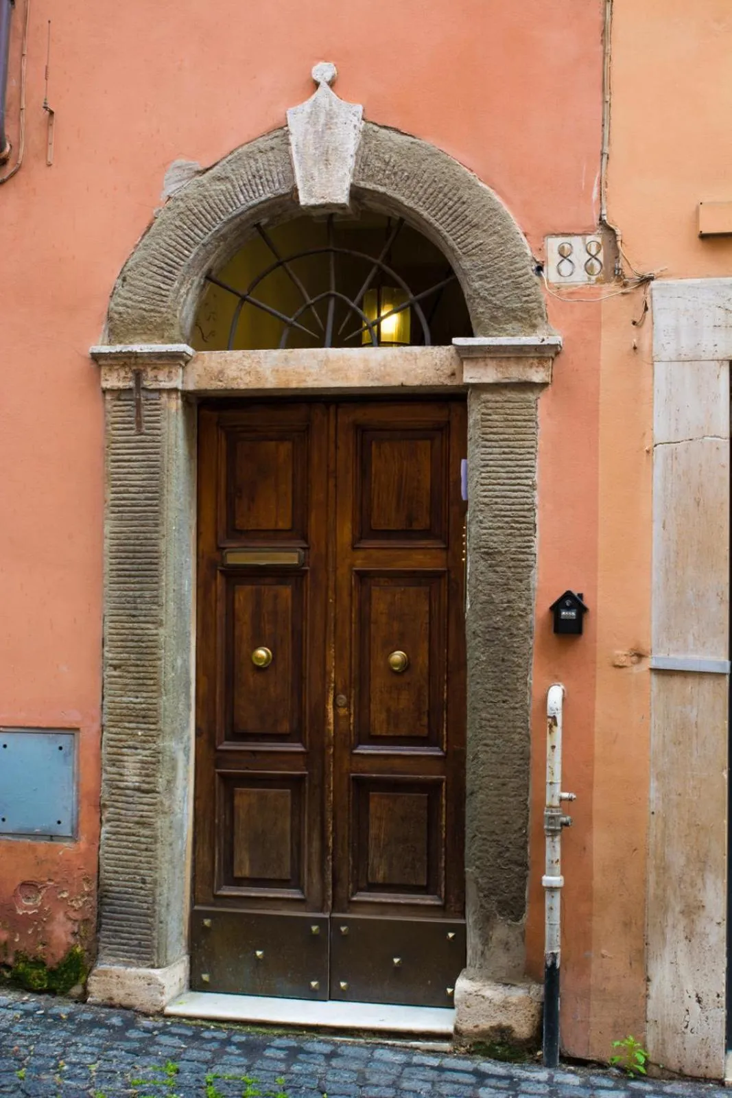 Baccina 88