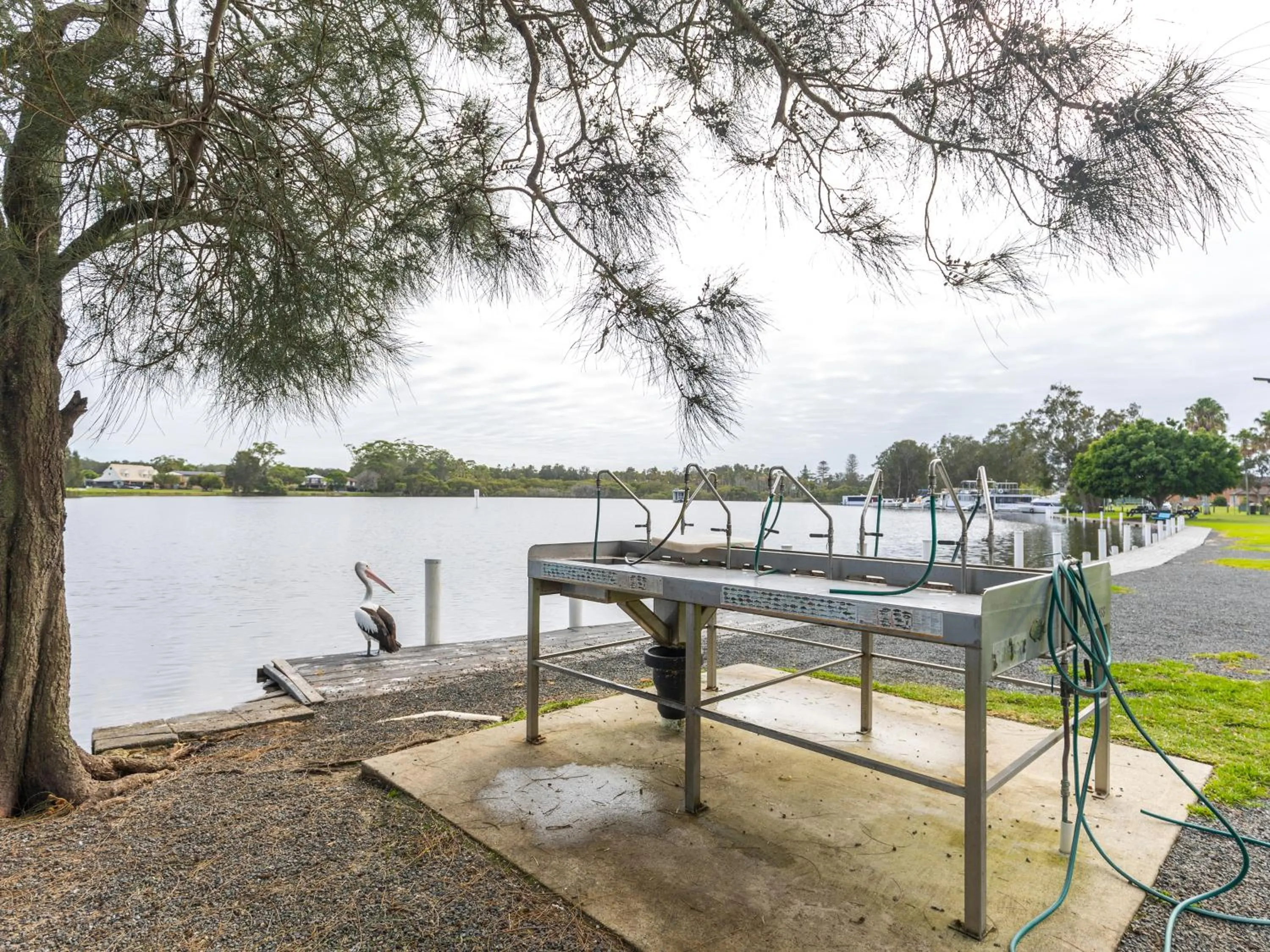 Fishing in NRMA Forster Tuncurry