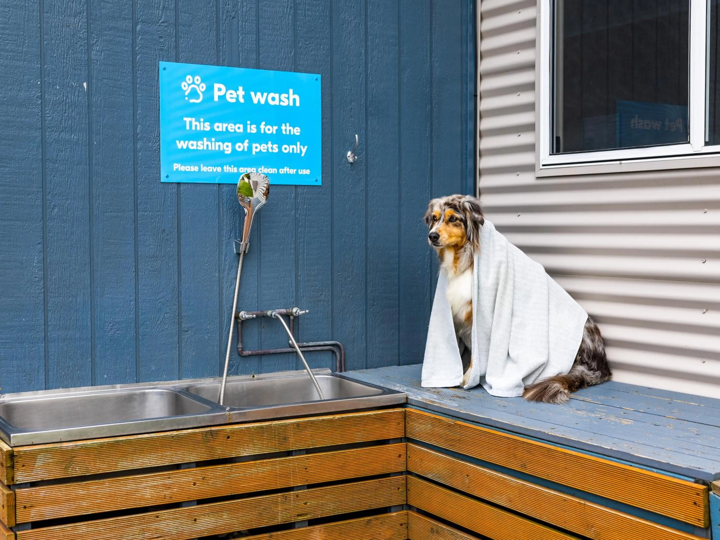 Pets in NRMA Forster Tuncurry