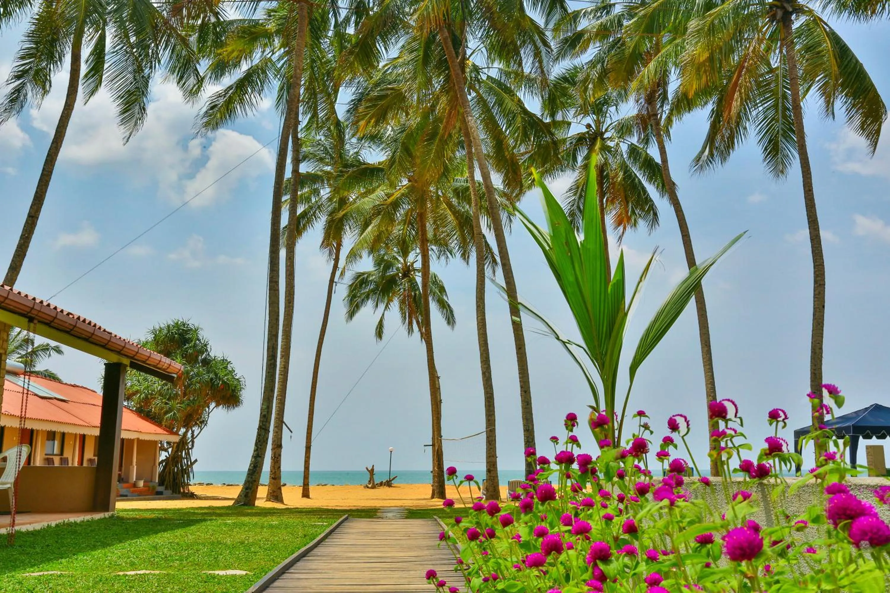 Spring in Amagi Beach – Secluded Slice of Paradise