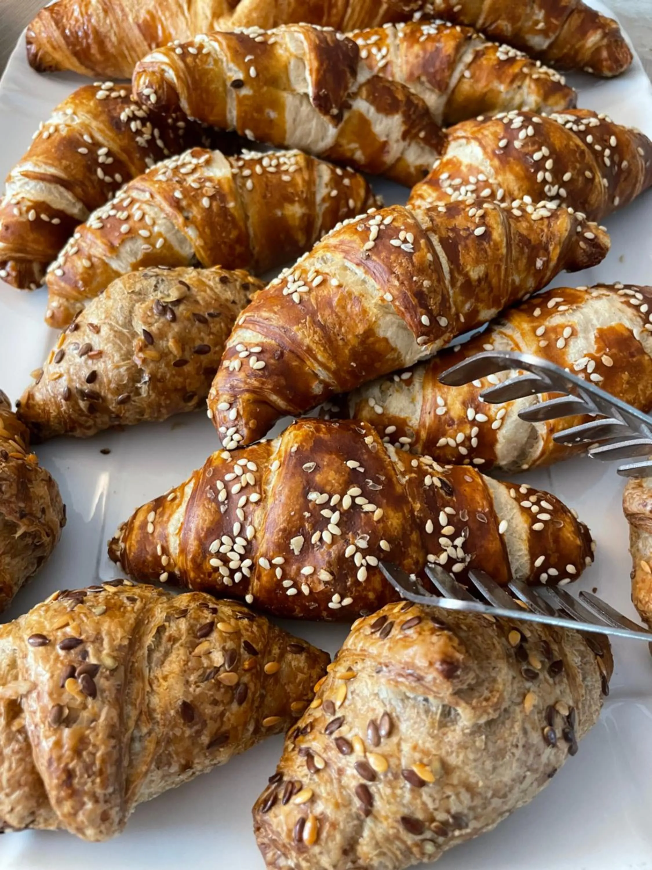 Restaurant/places to eat in Hotel Colombia