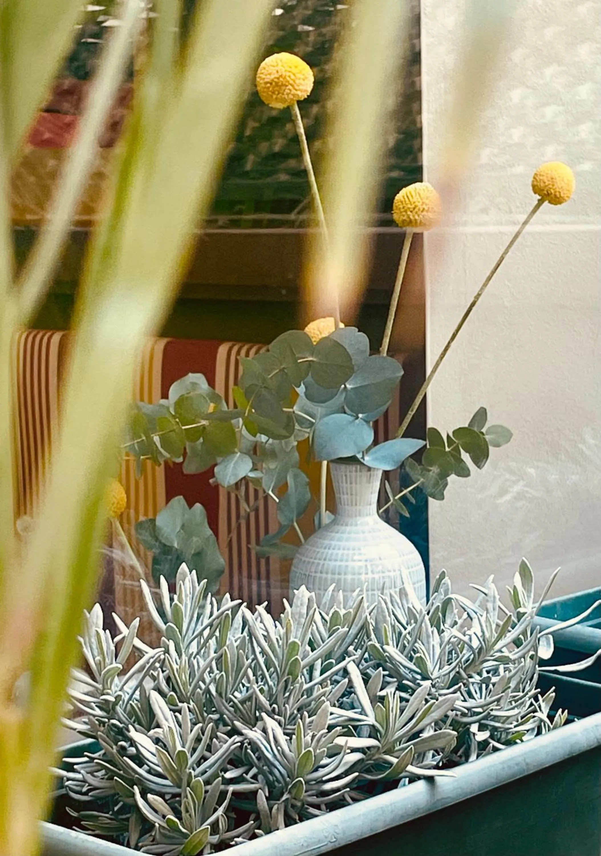 Restaurant/places to eat in Hotel Colombia