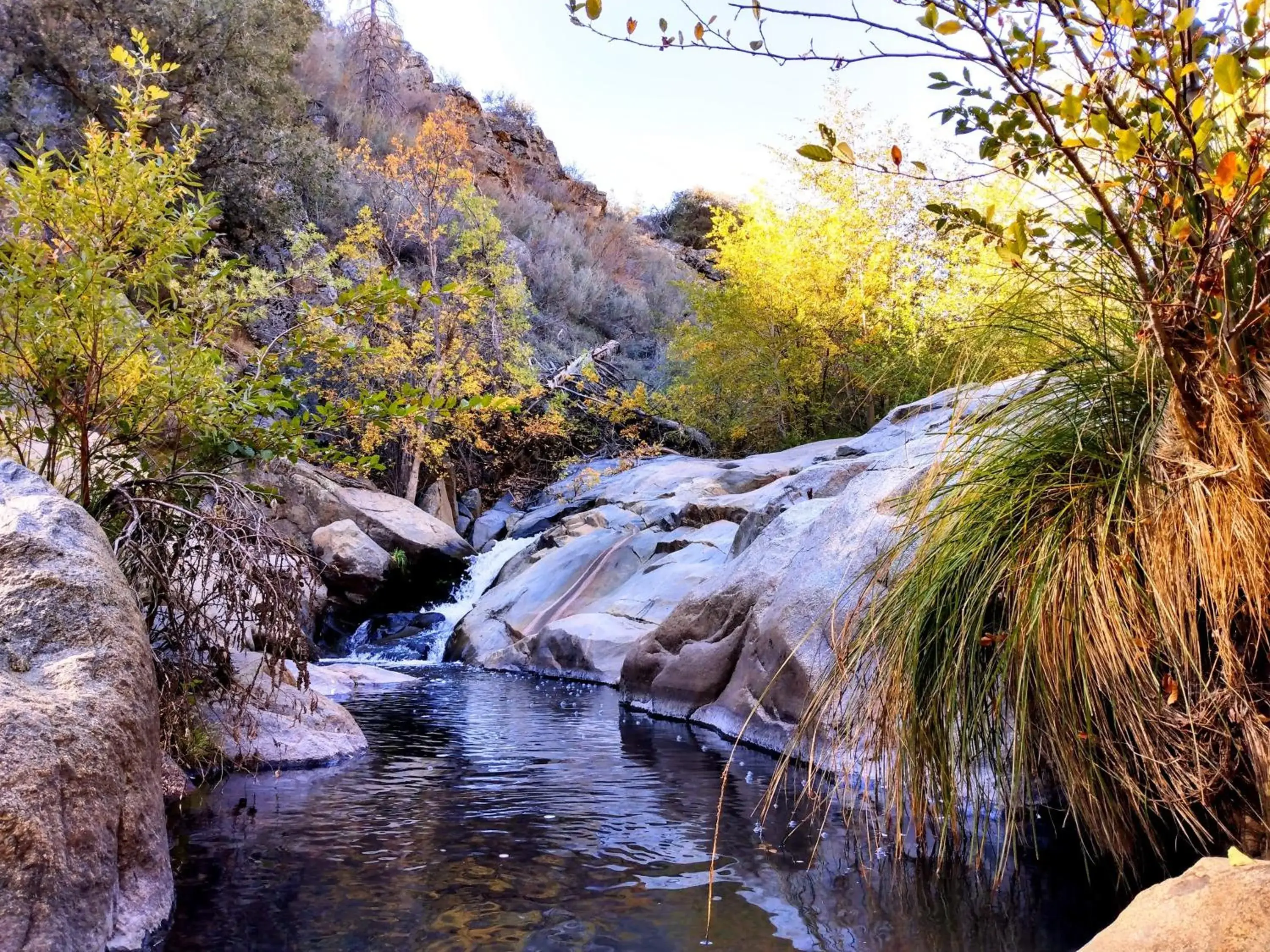 River view in Quiet Mind Lodge, Spa & Retreat Sequoias River view in Quiet Mind Lodge, Spa & Retreat Sequoias