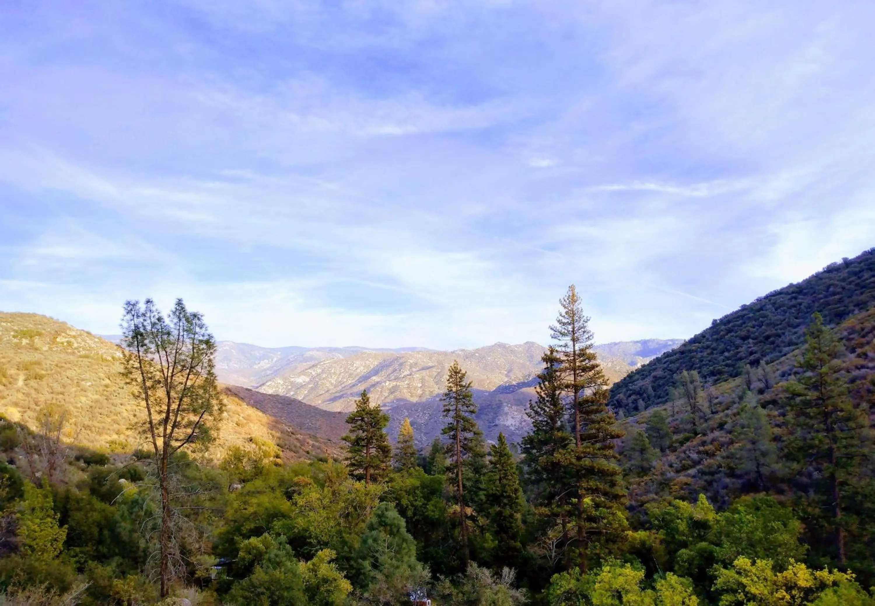 Quiet Mind Lodge, Spa & Retreat Sequoias