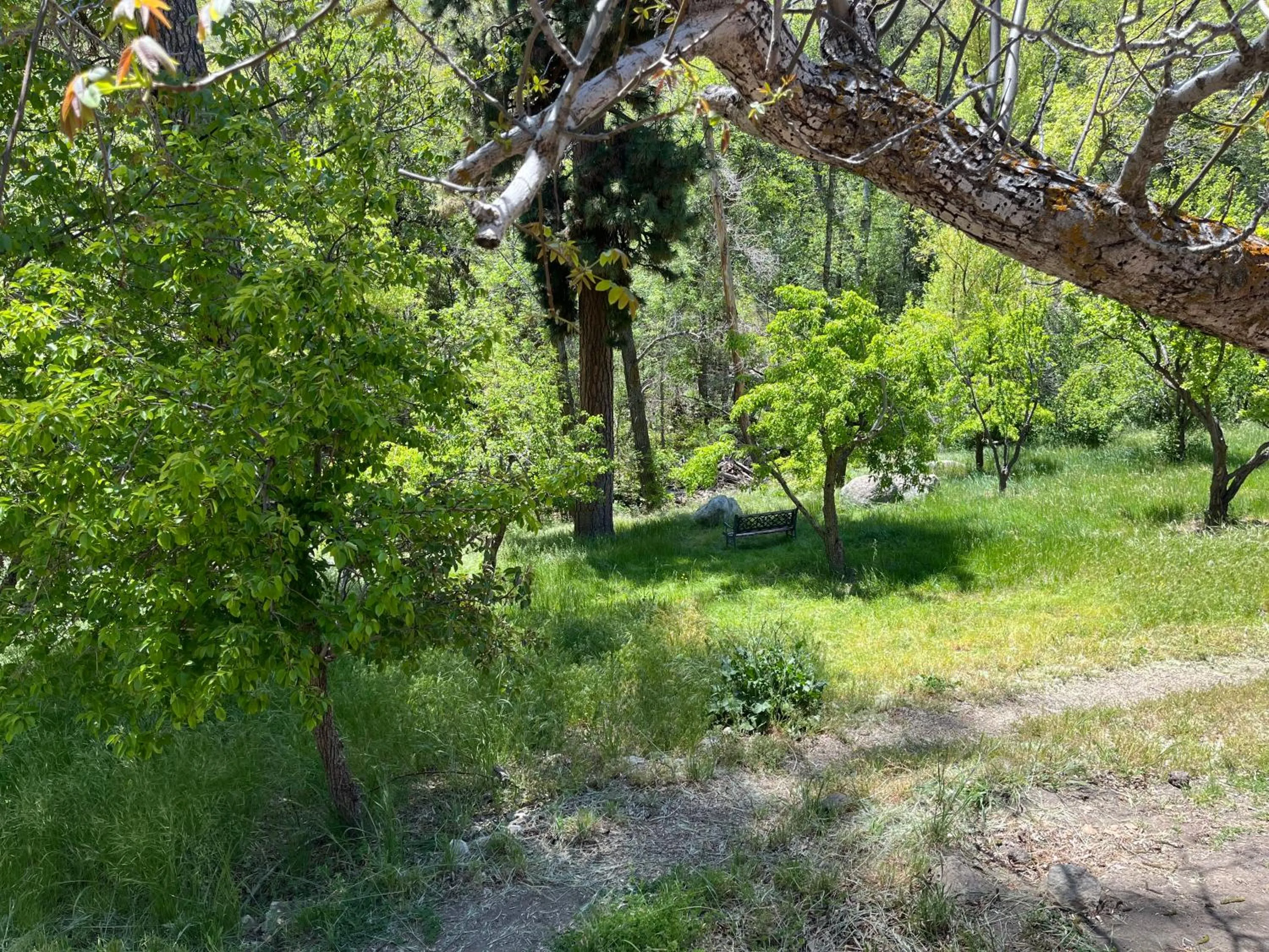 Quiet Mind Lodge, Spa & Retreat Sequoias