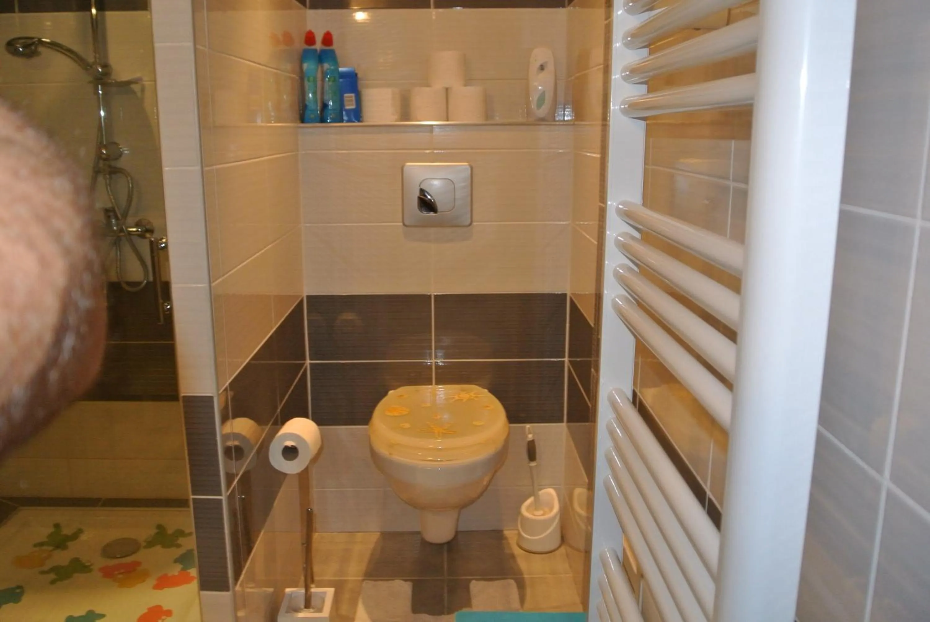 Toilet in GîTE du GOUR du PEYROL