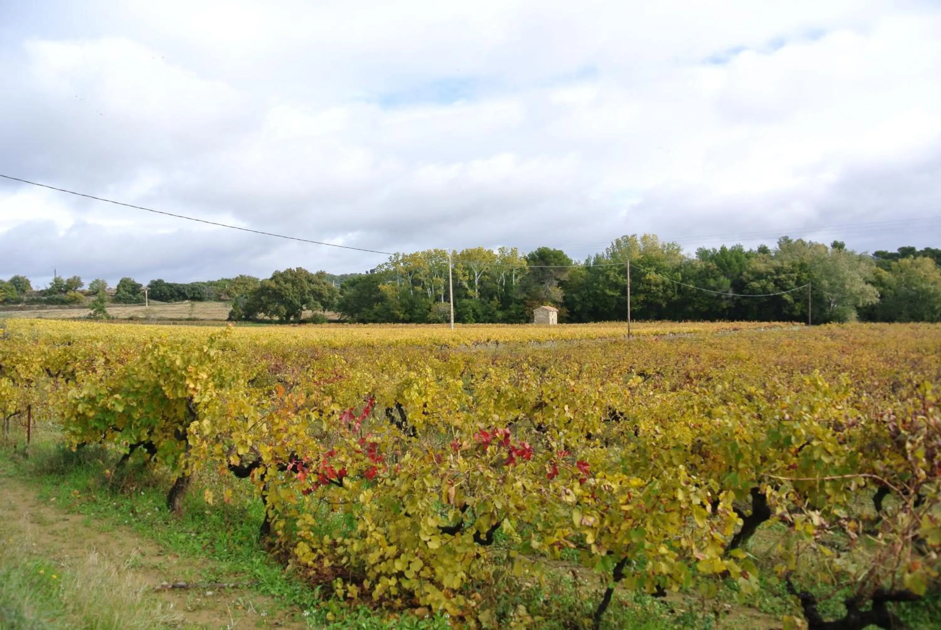Area and facilities in GîTE du GOUR du PEYROL