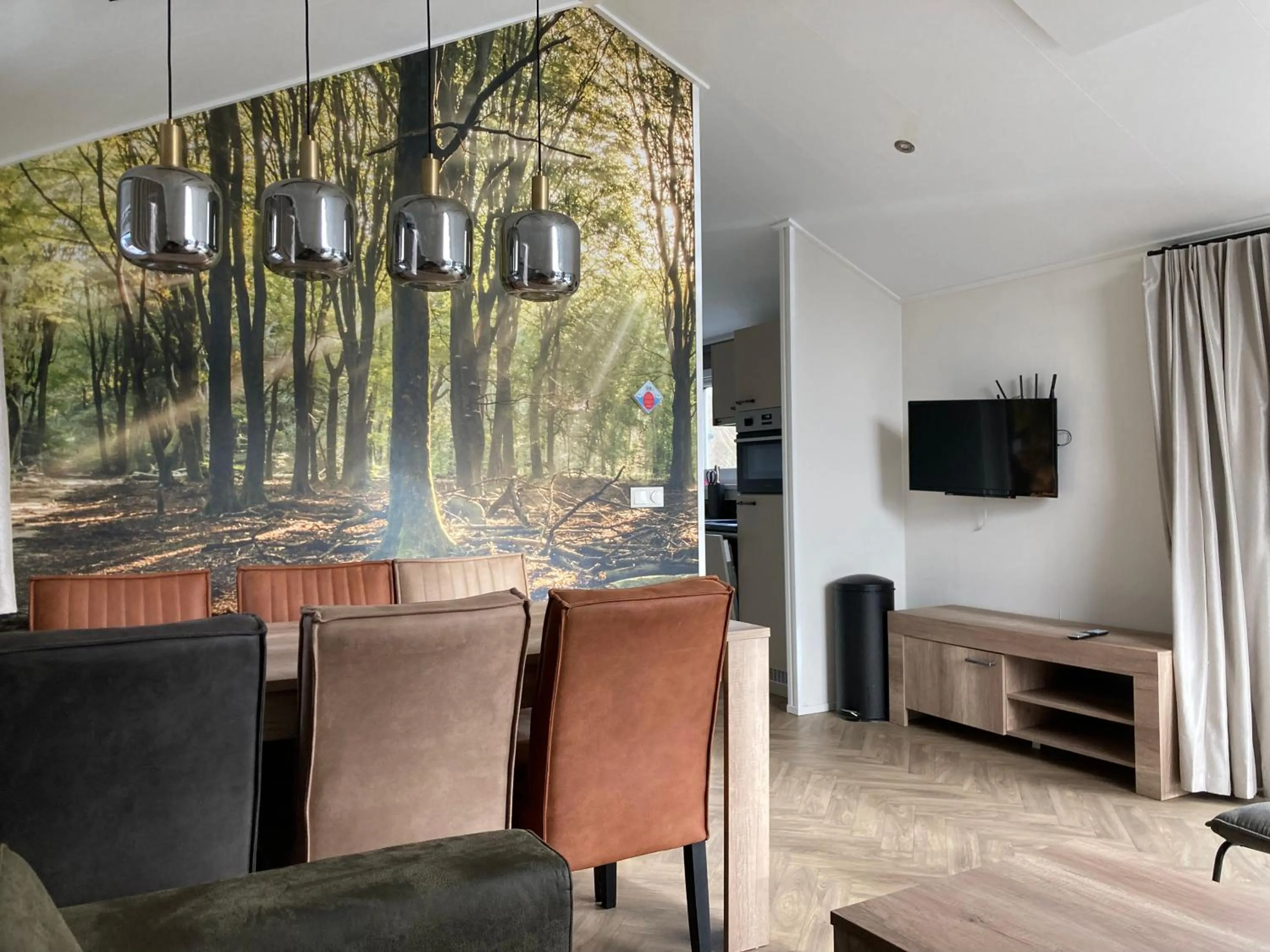 Communal lounge/ TV room in Waterpark Giethoorn