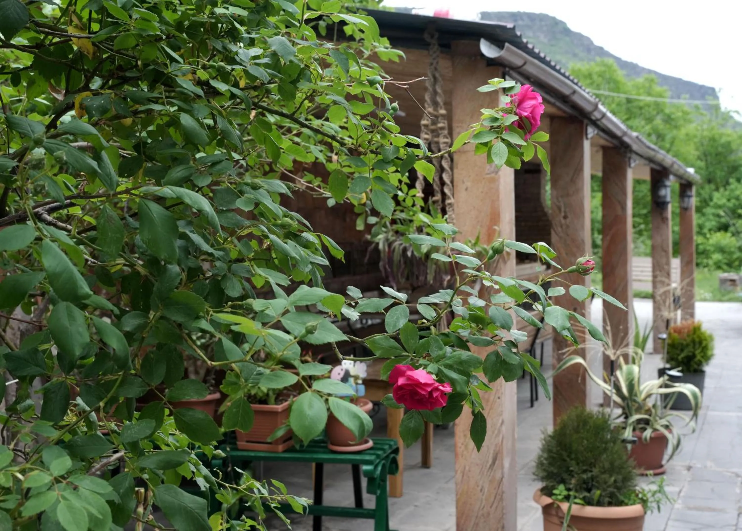 IRIS B&B in DEBED CANYON