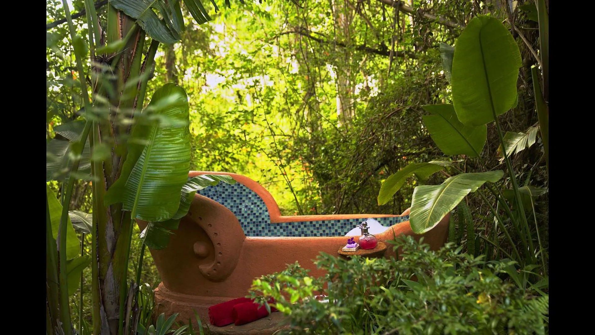 Garden in Timamoon Lodge