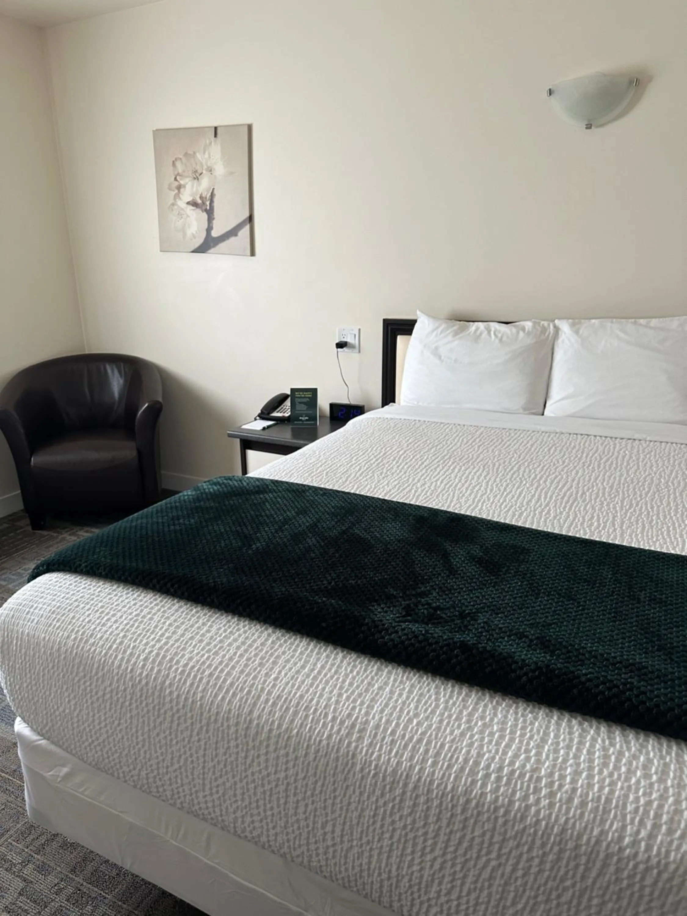 Bed in Sleep Suite Motel