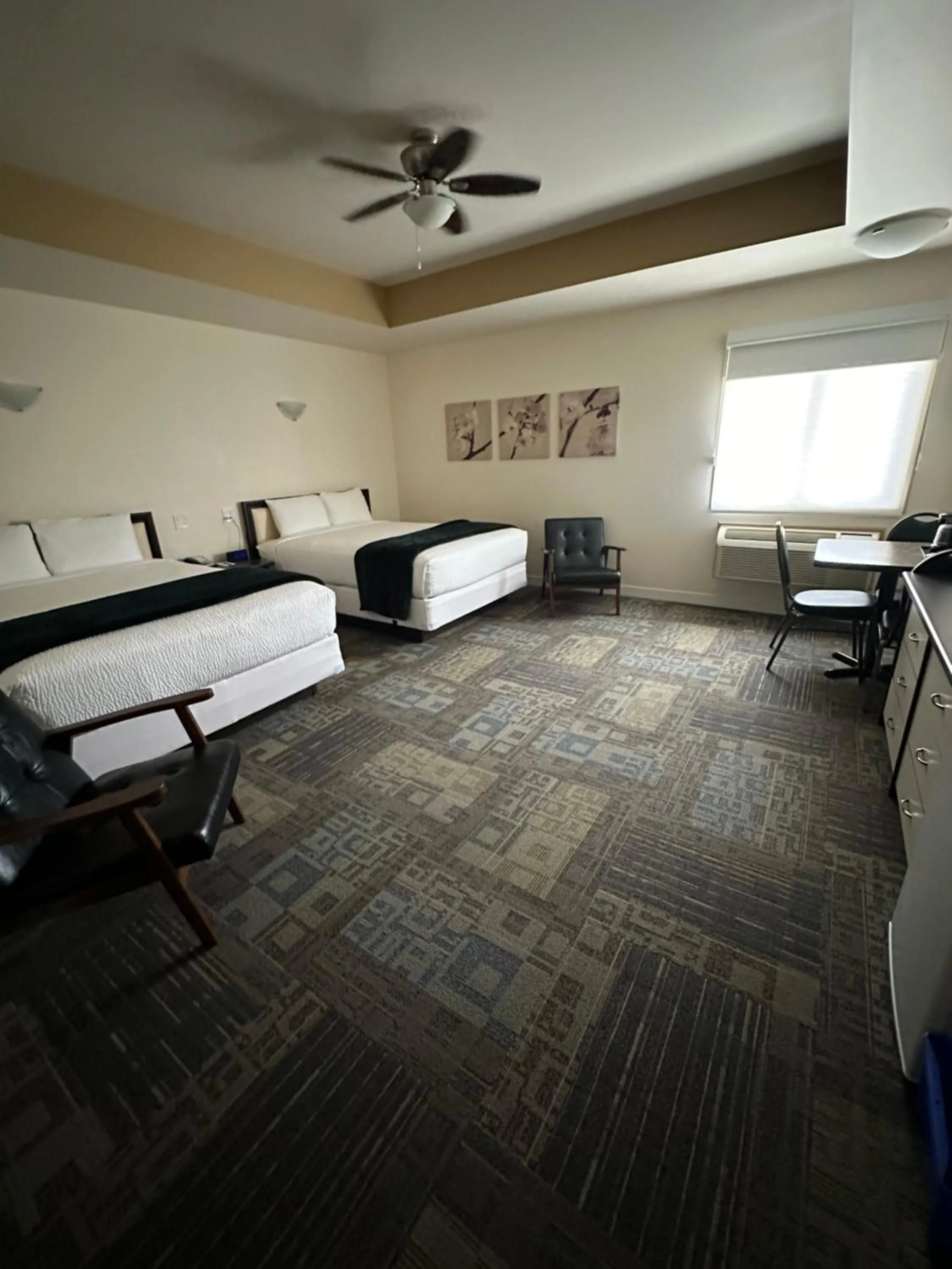 Bed in Sleep Suite Motel