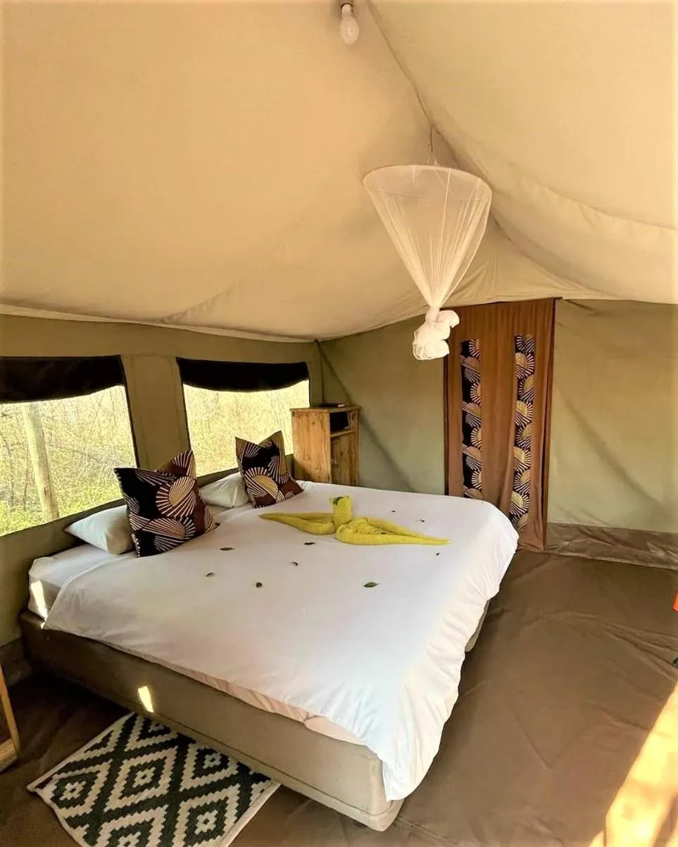 Bed in The Wild Olive Tree Camp