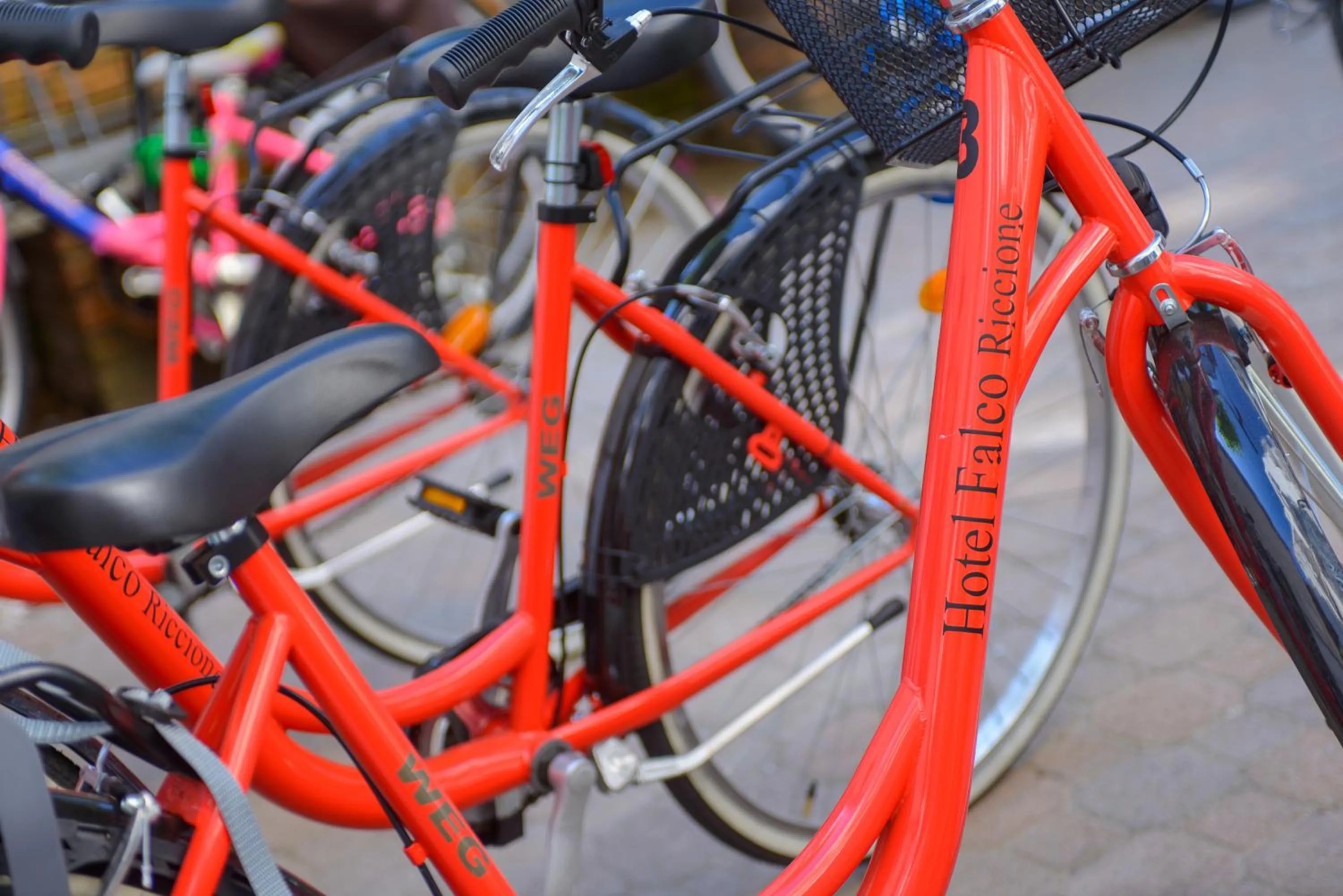 Cycling in Hotel Falco