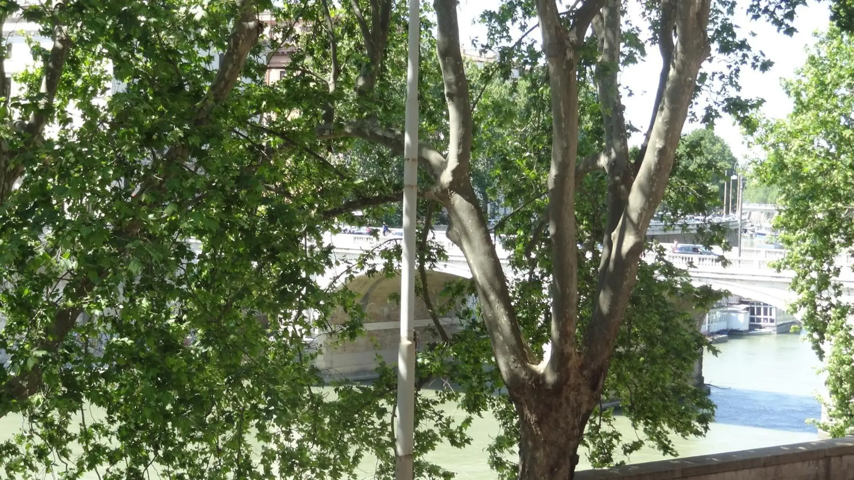 River view in Augustana House and Suites River view in Augustana House and Suites